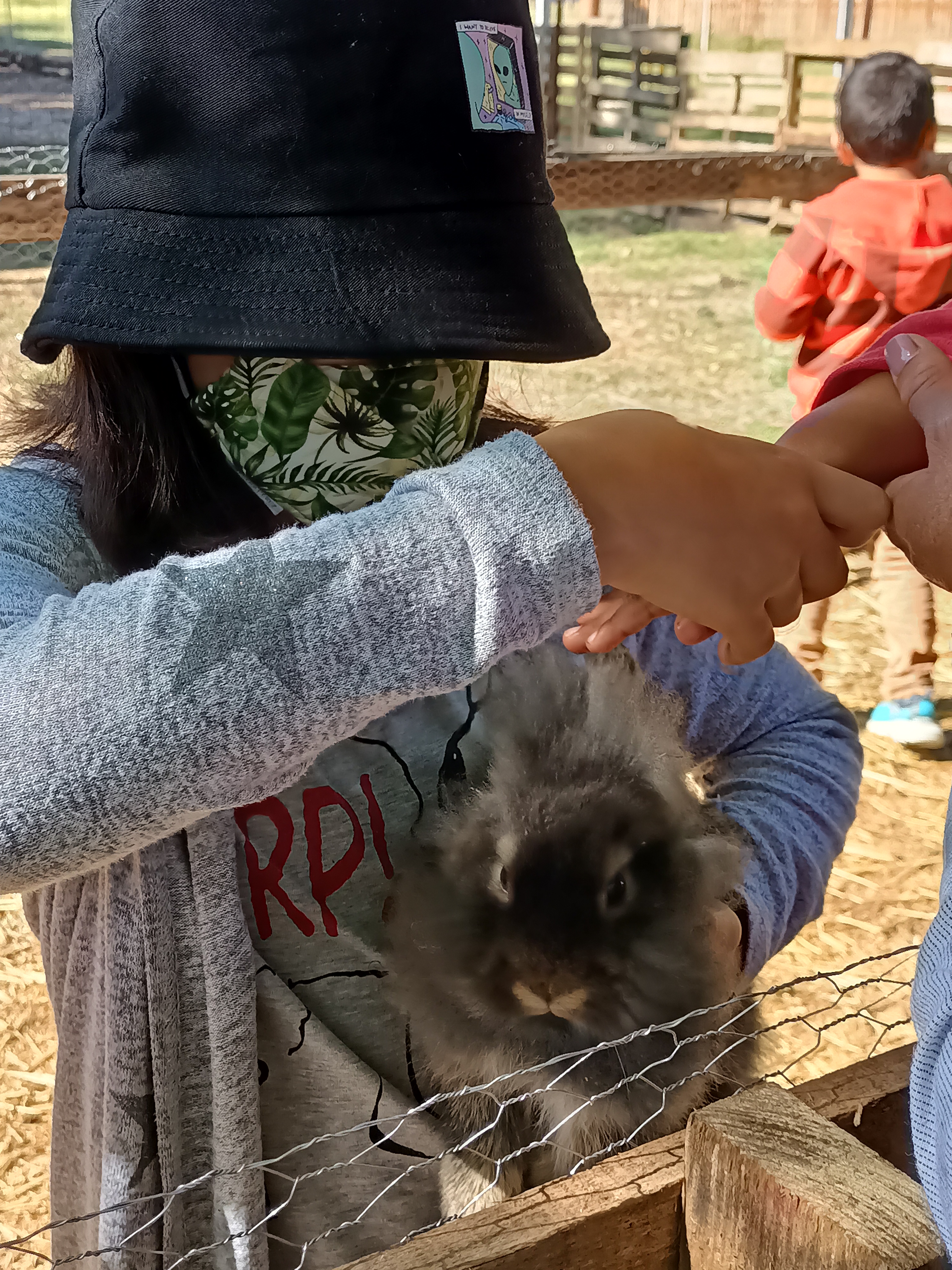 Granja yu'u Kubi image 2