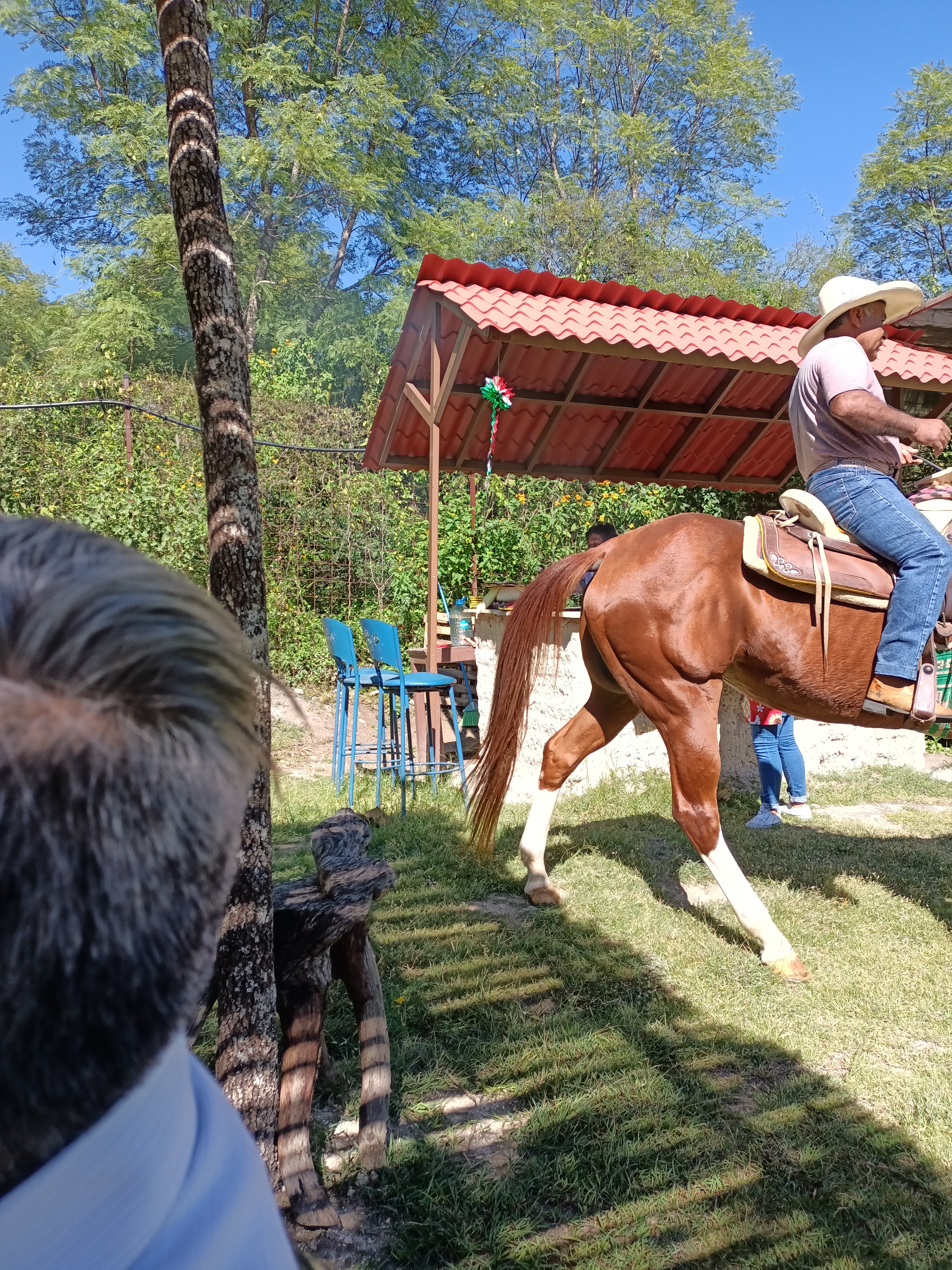 Granja yu'u Kubi image 5