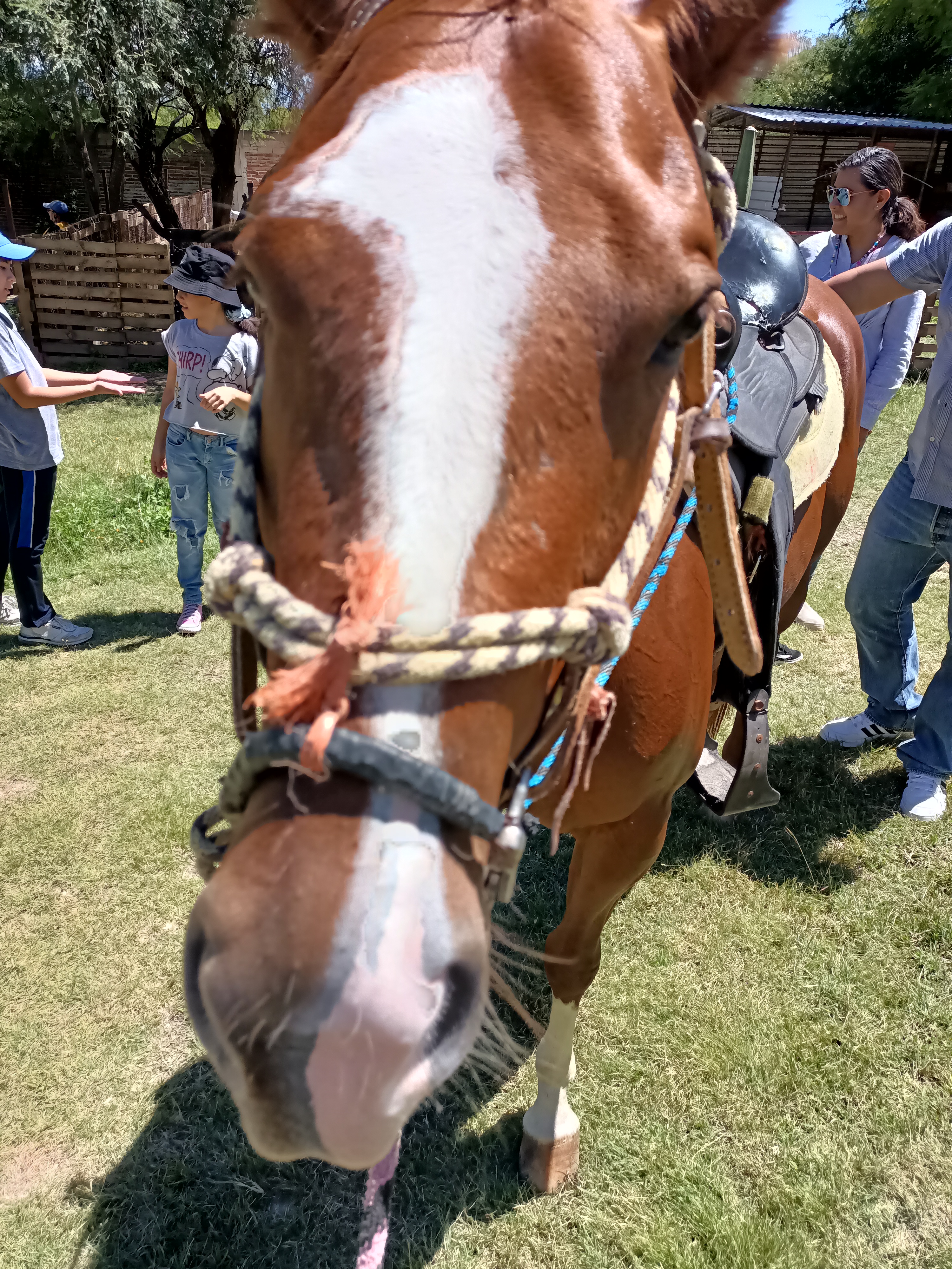 Granja yu'u Kubi image 6