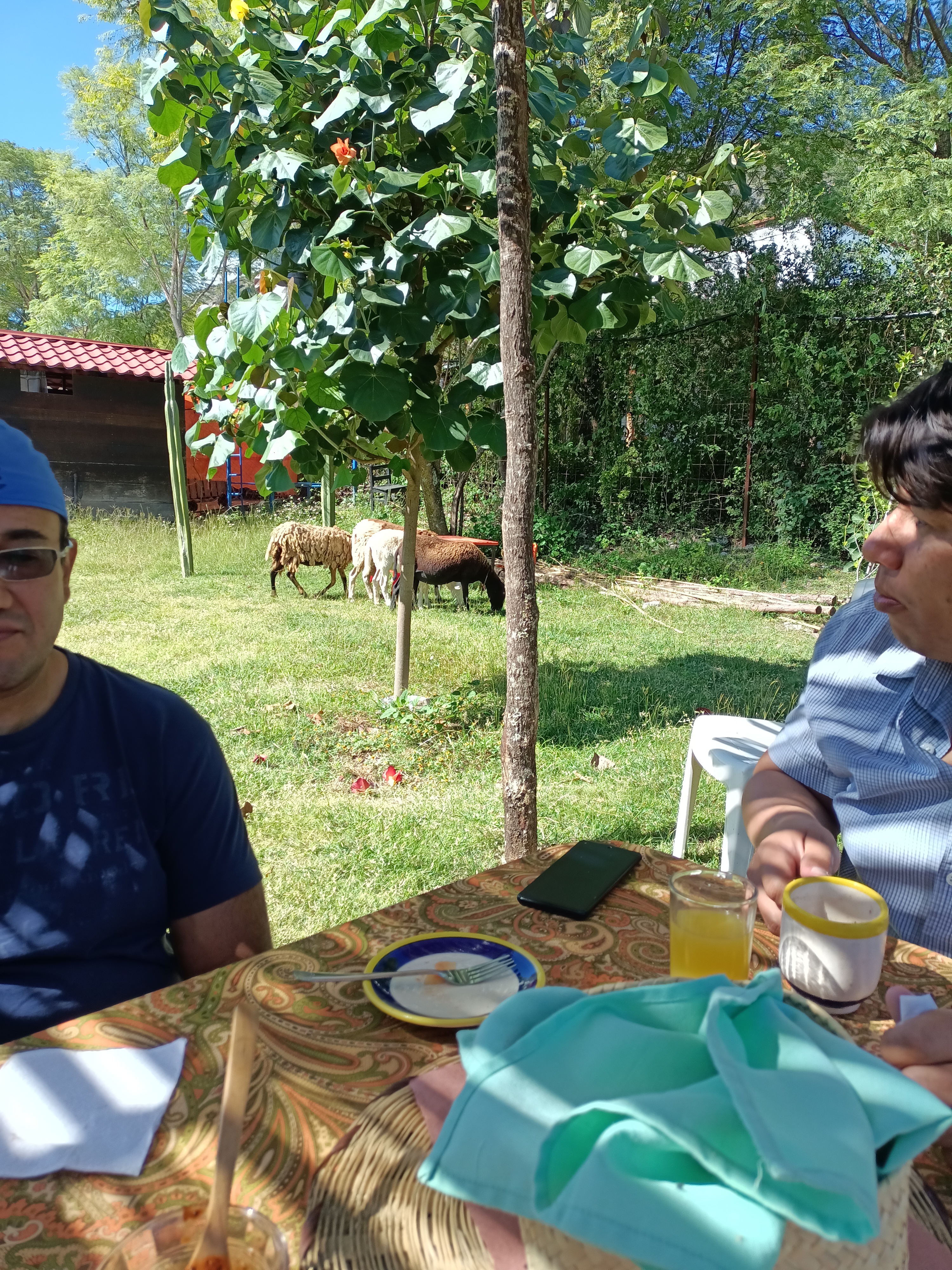 Granja yu'u Kubi image 8