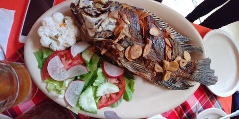 El Manguito image 6