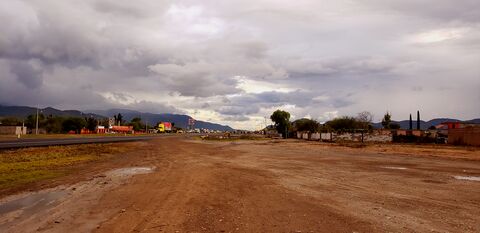 Café Hacienda Km 95 image 4