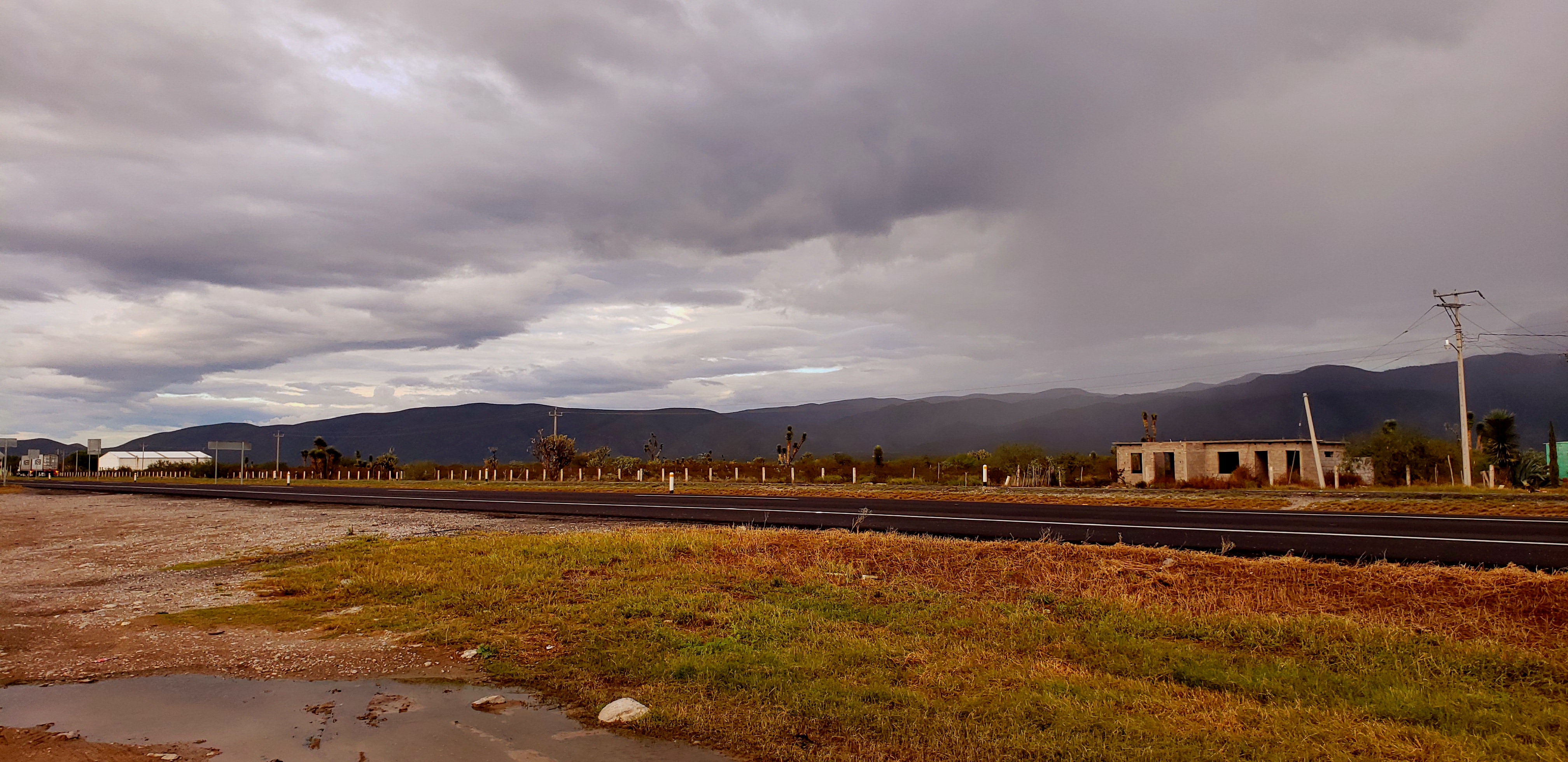 Café Hacienda Km 95 image 8