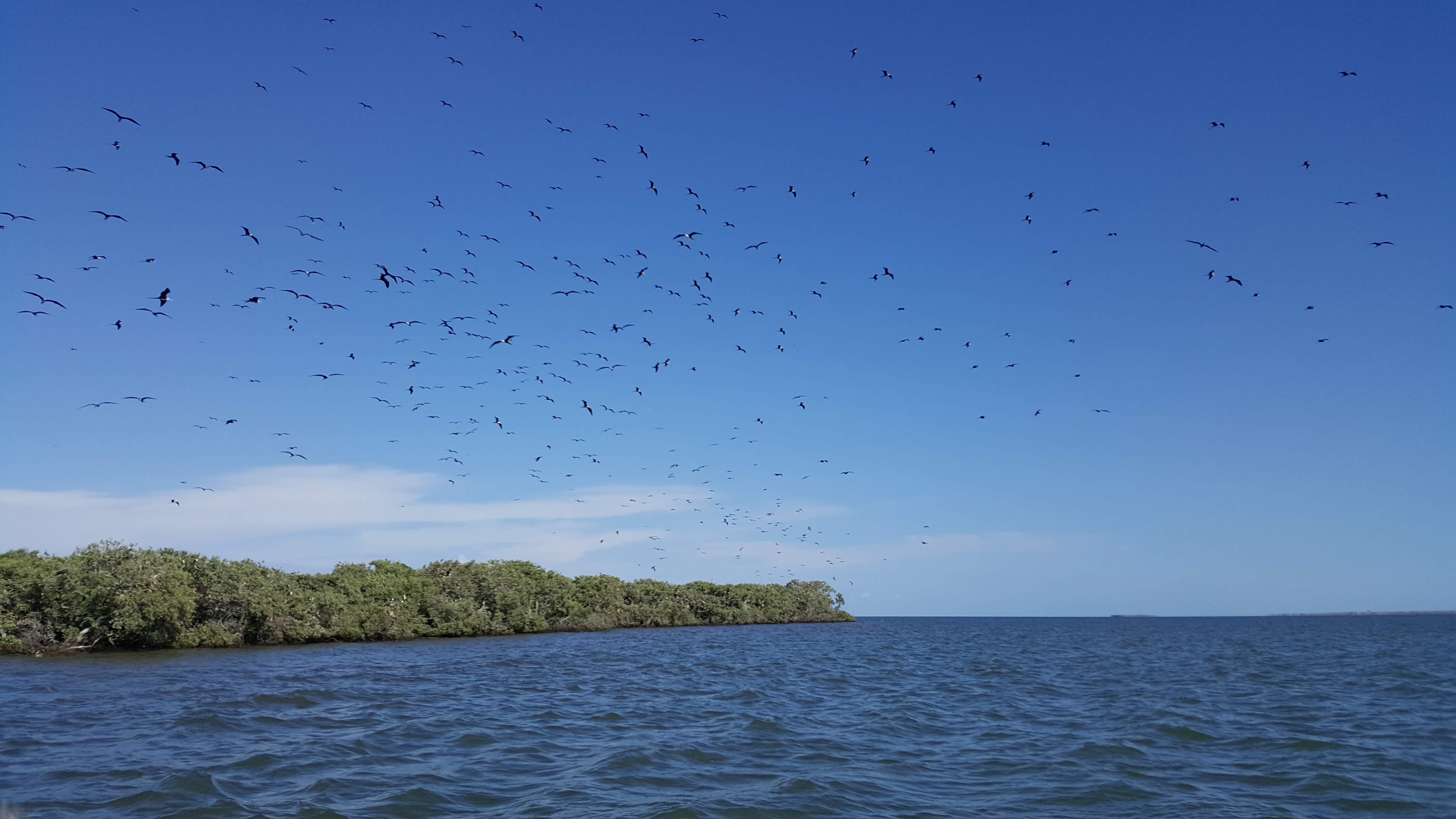 El Paraje del Chito image 9