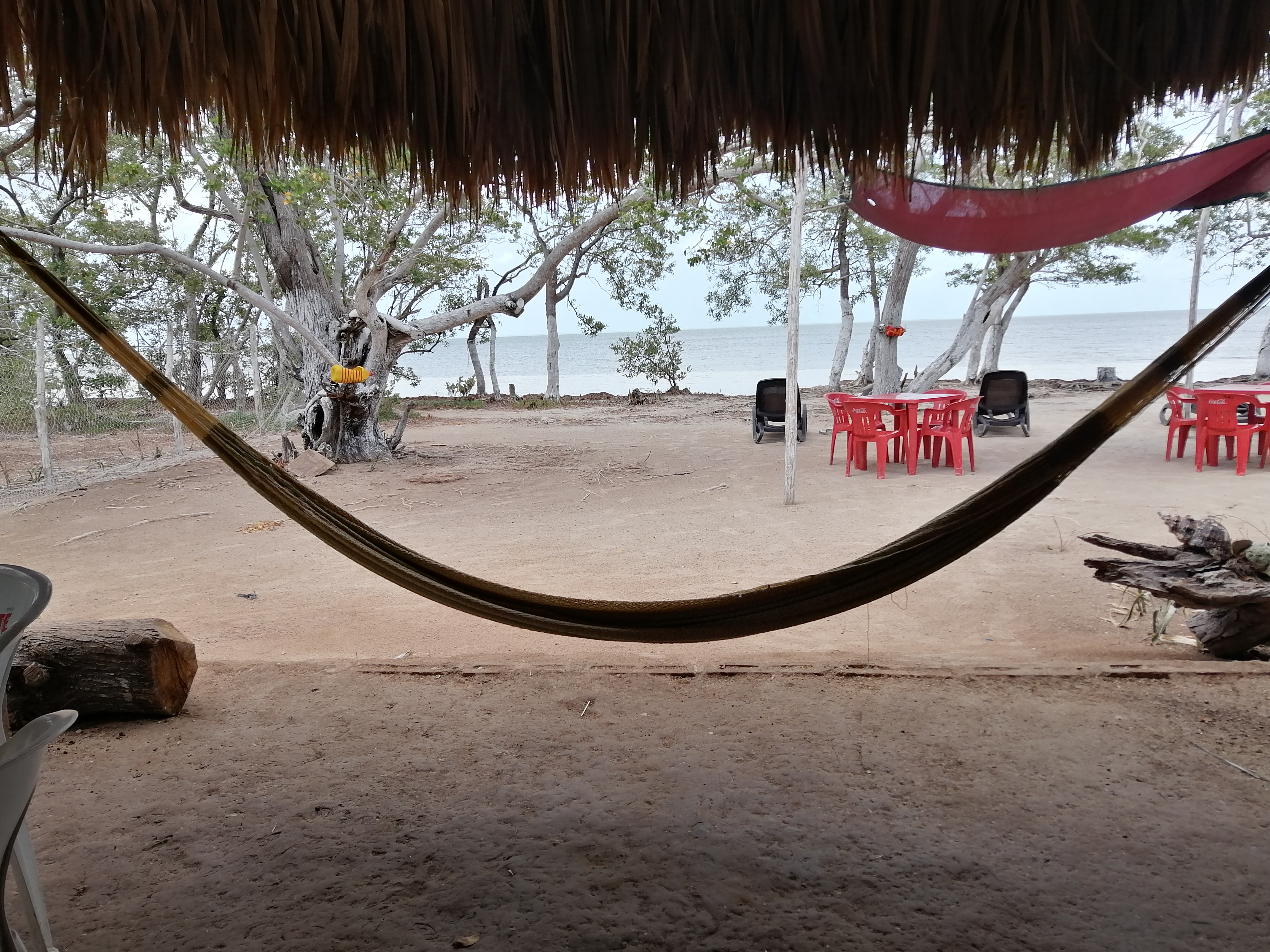 Restaurante Bar "Chocho", Río Escondido image 7