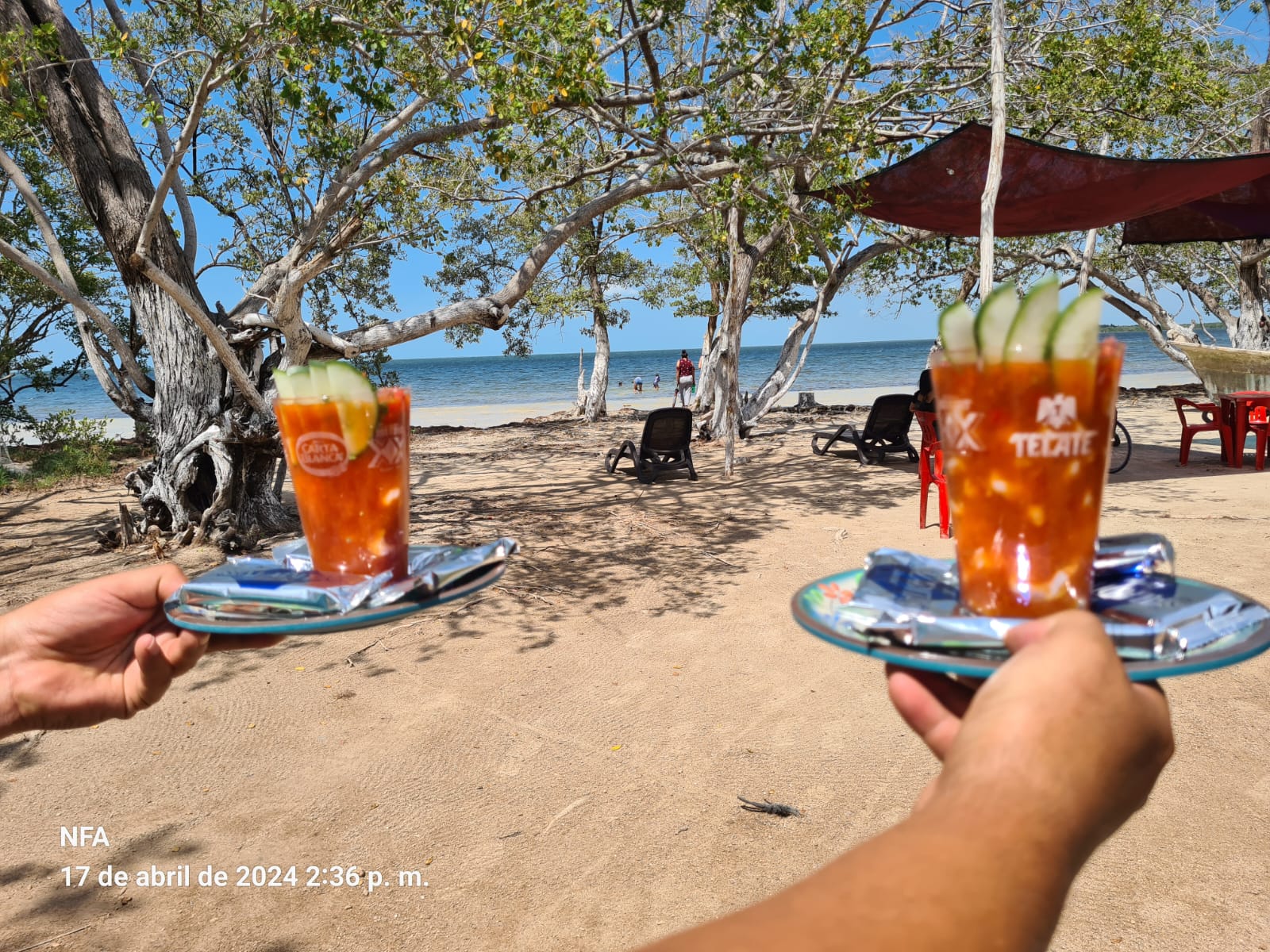 Restaurante Bar "Chocho", Río Escondido image 10
