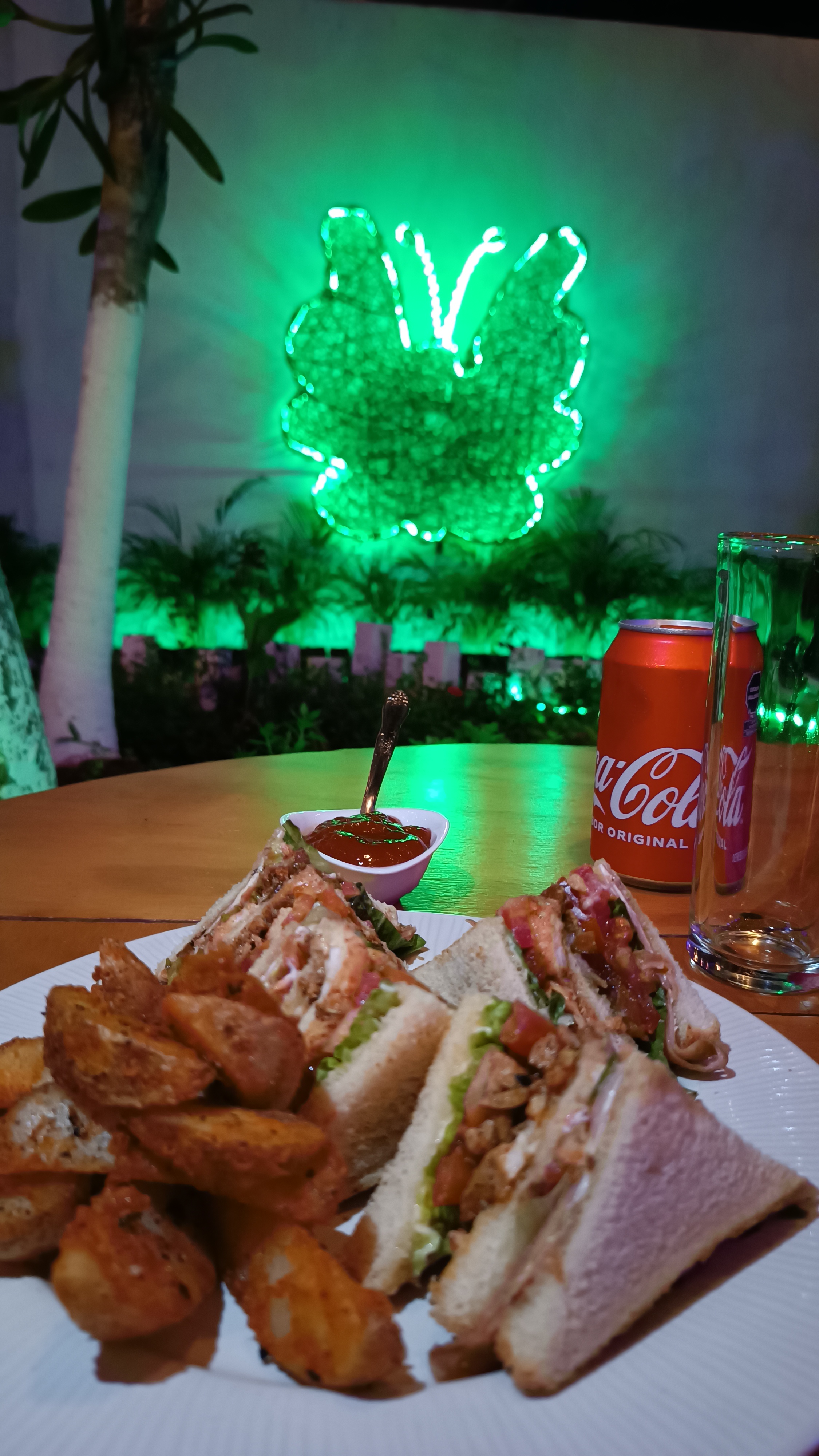 El Caribe Holbox image 5