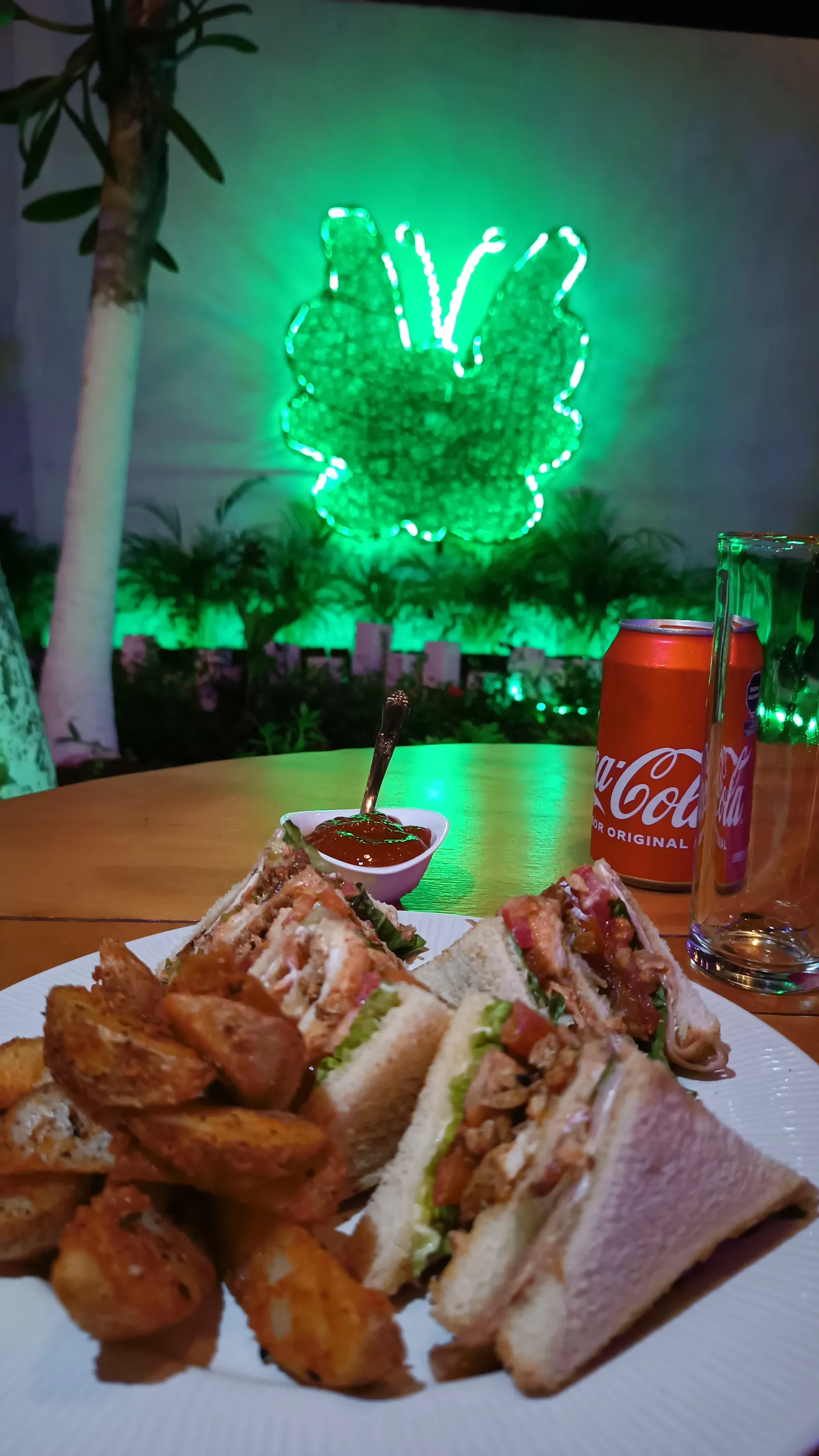El Caribe Holbox image 5