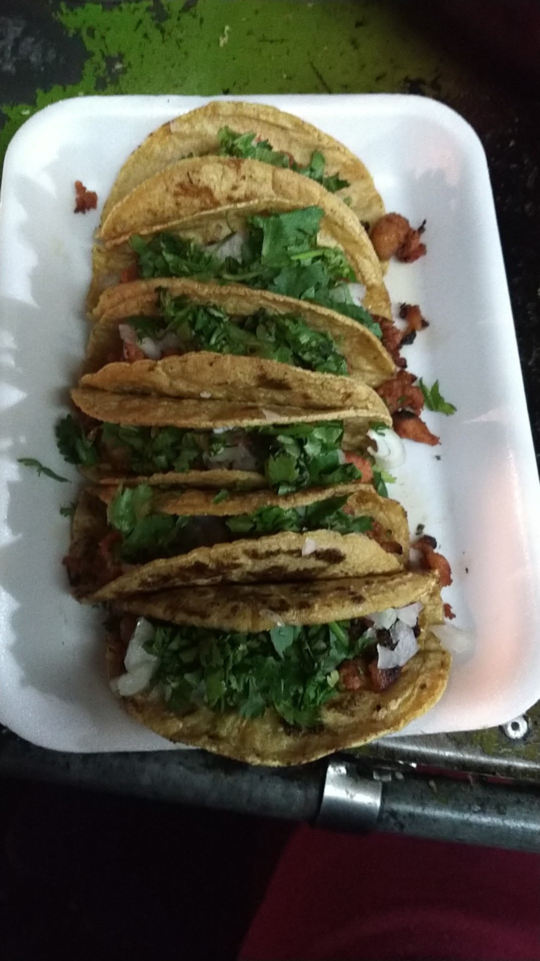 Takitos Lupita image 5