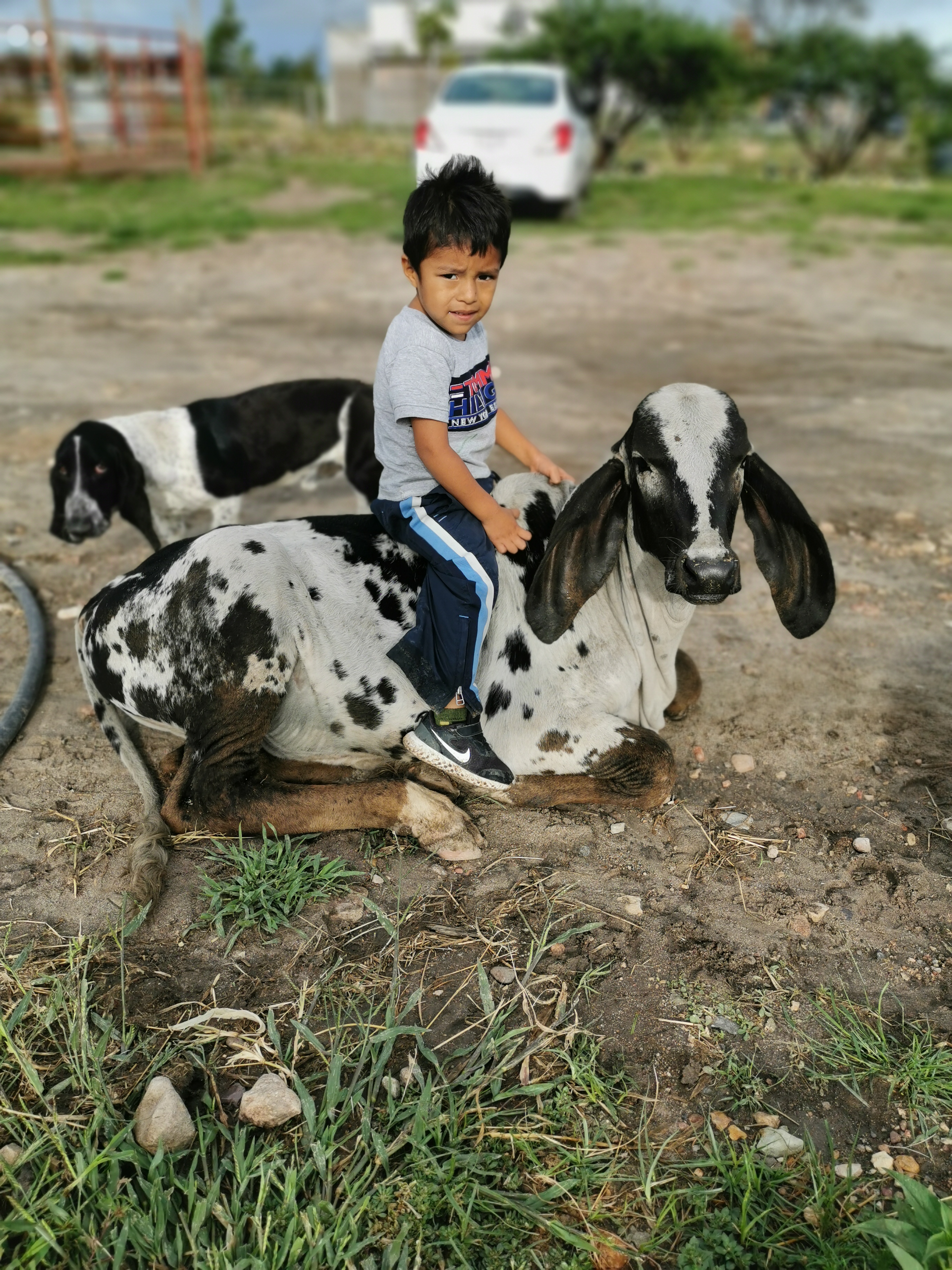 Rancho Agua Verde image 1