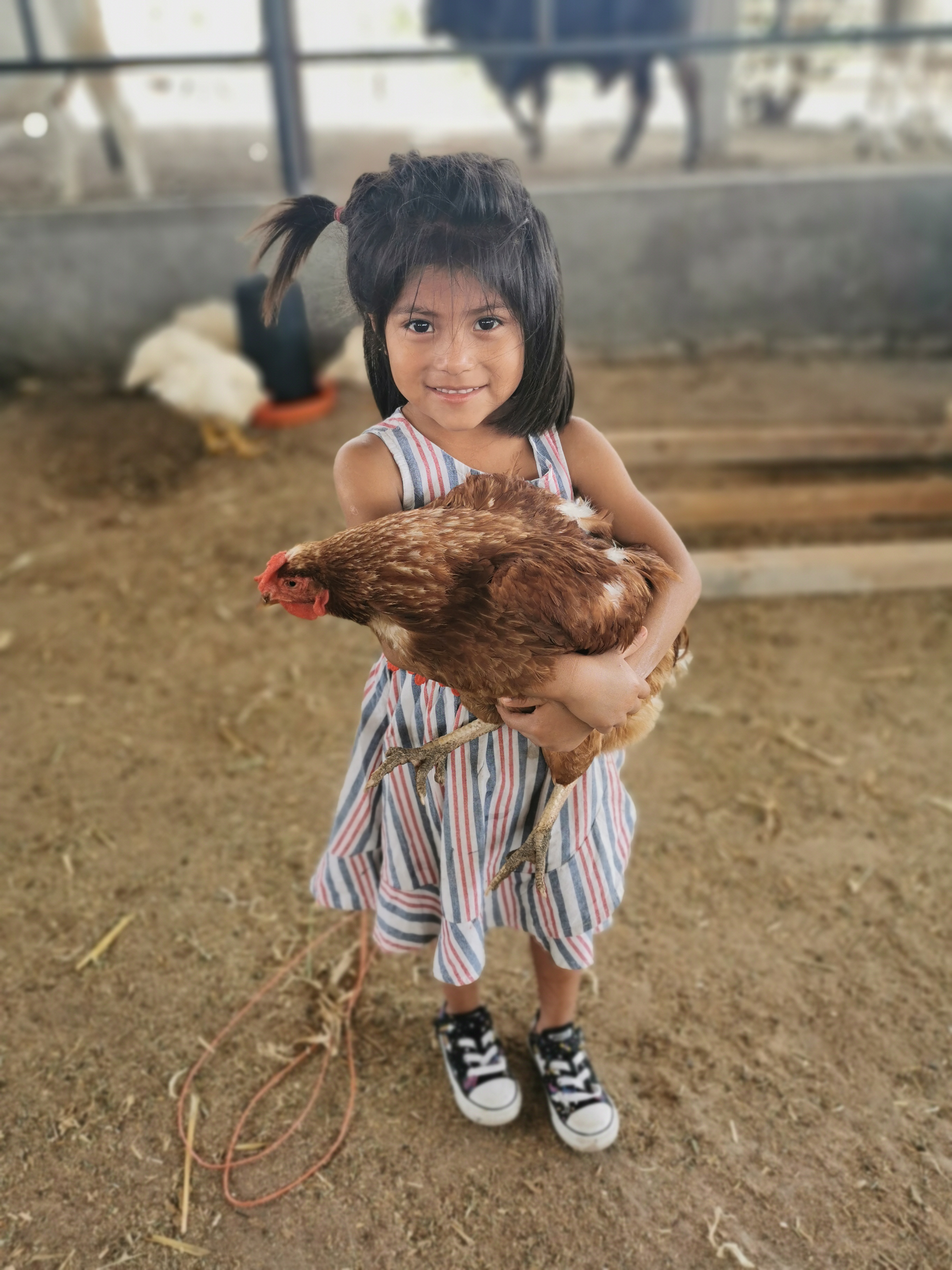 Rancho Agua Verde image 10