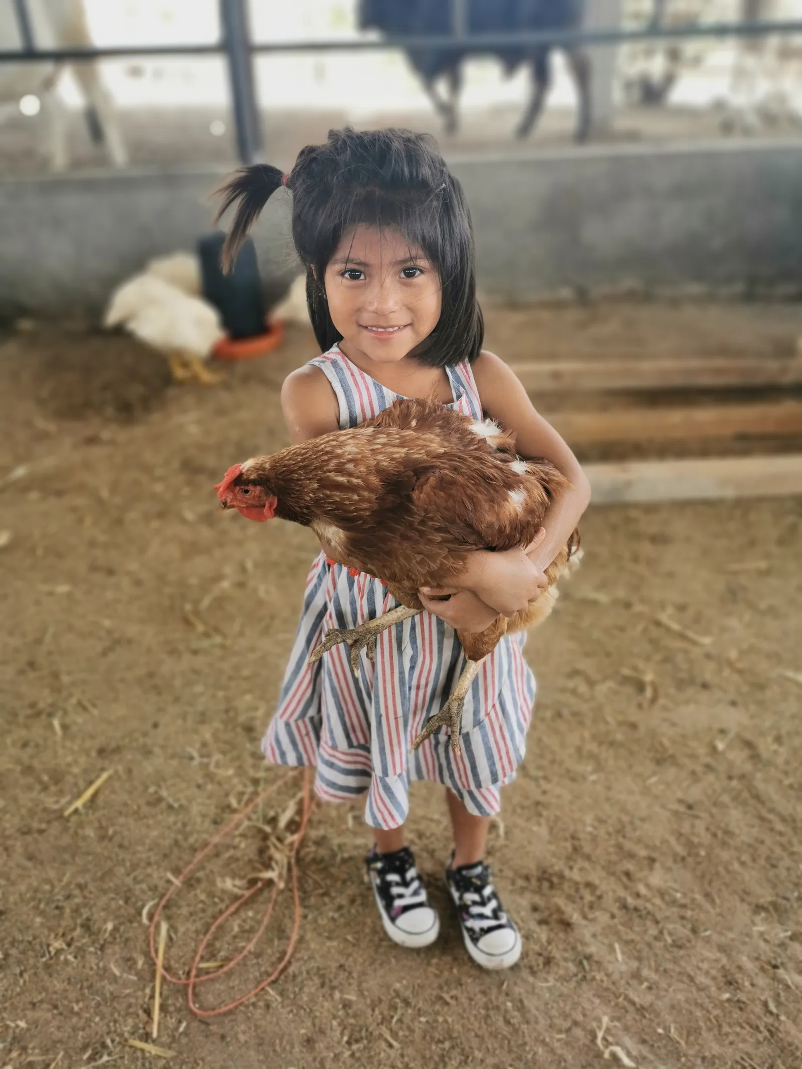 Rancho Agua Verde image 10