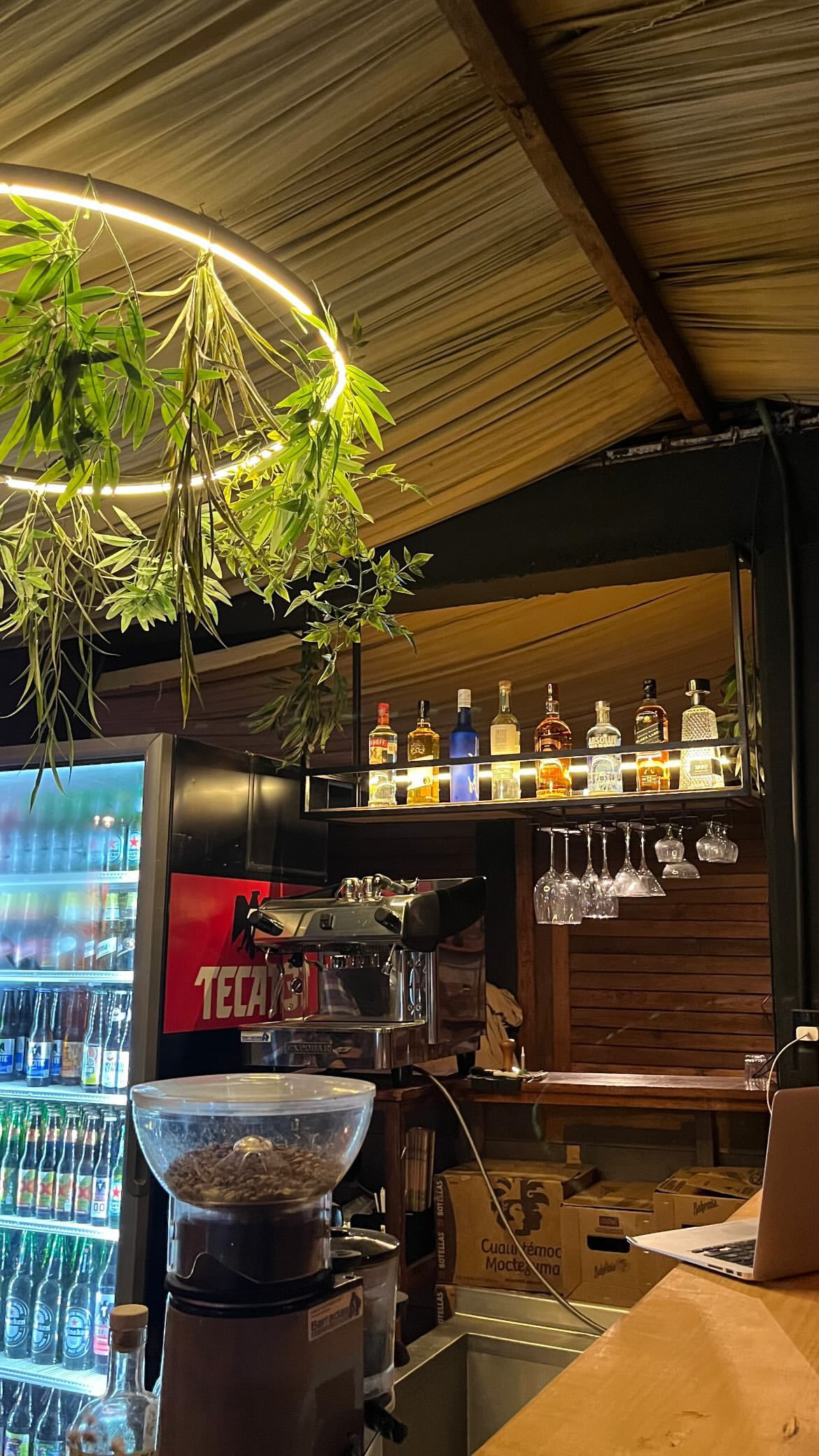 CERVECERIA MORELOS image 2