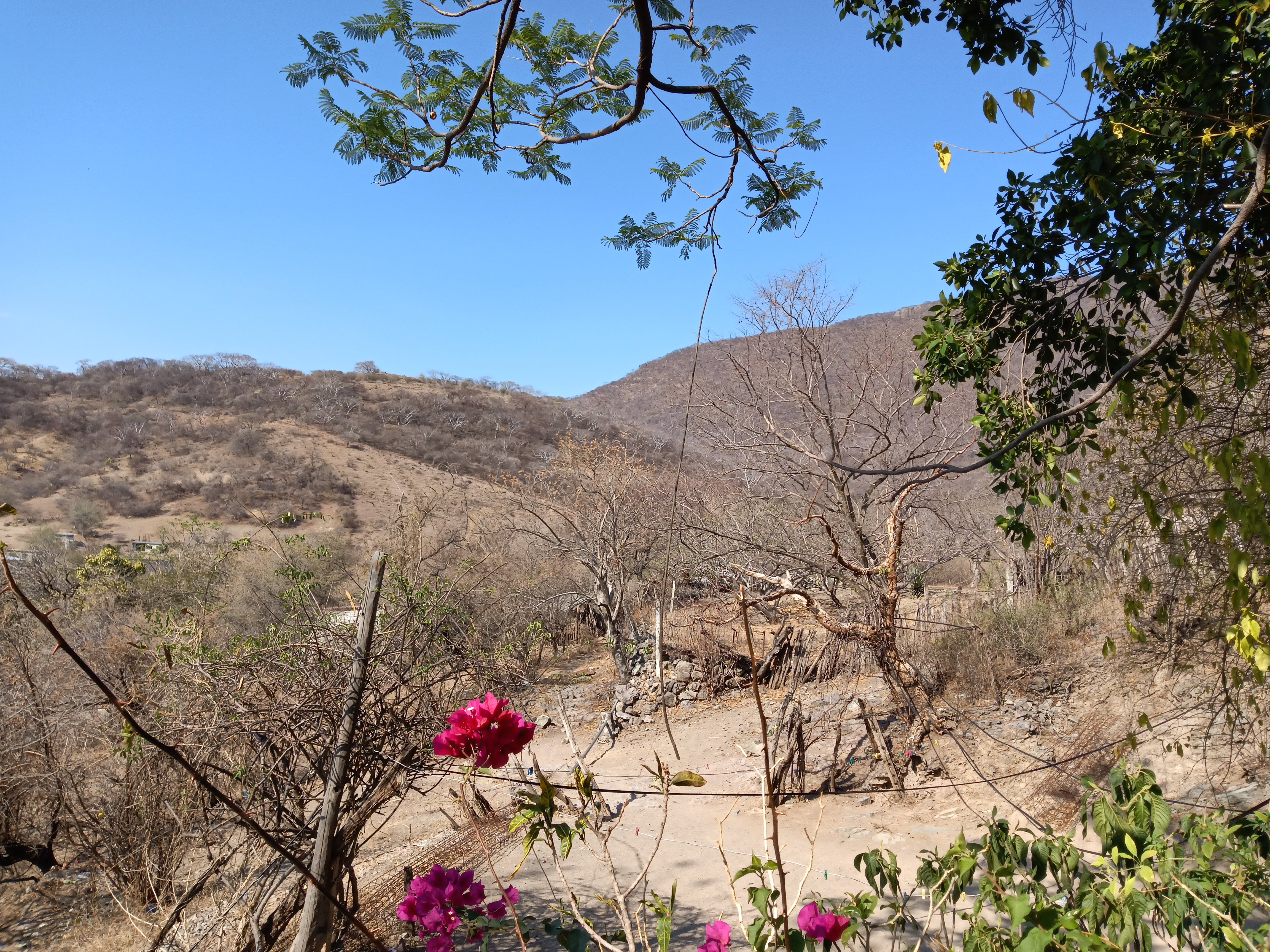 Comedor Doña Toña image 1