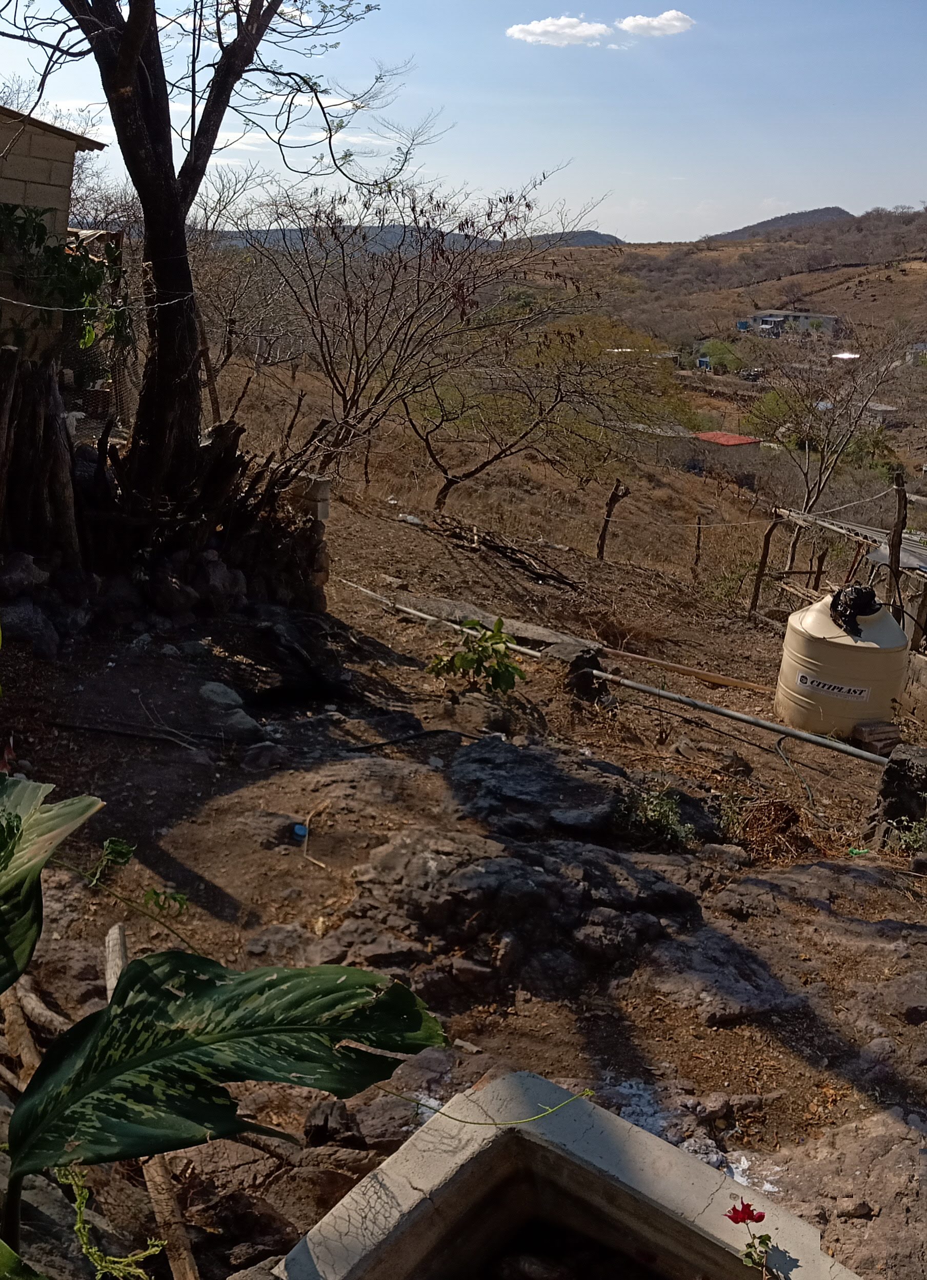 Comedor Doña Toña image 3