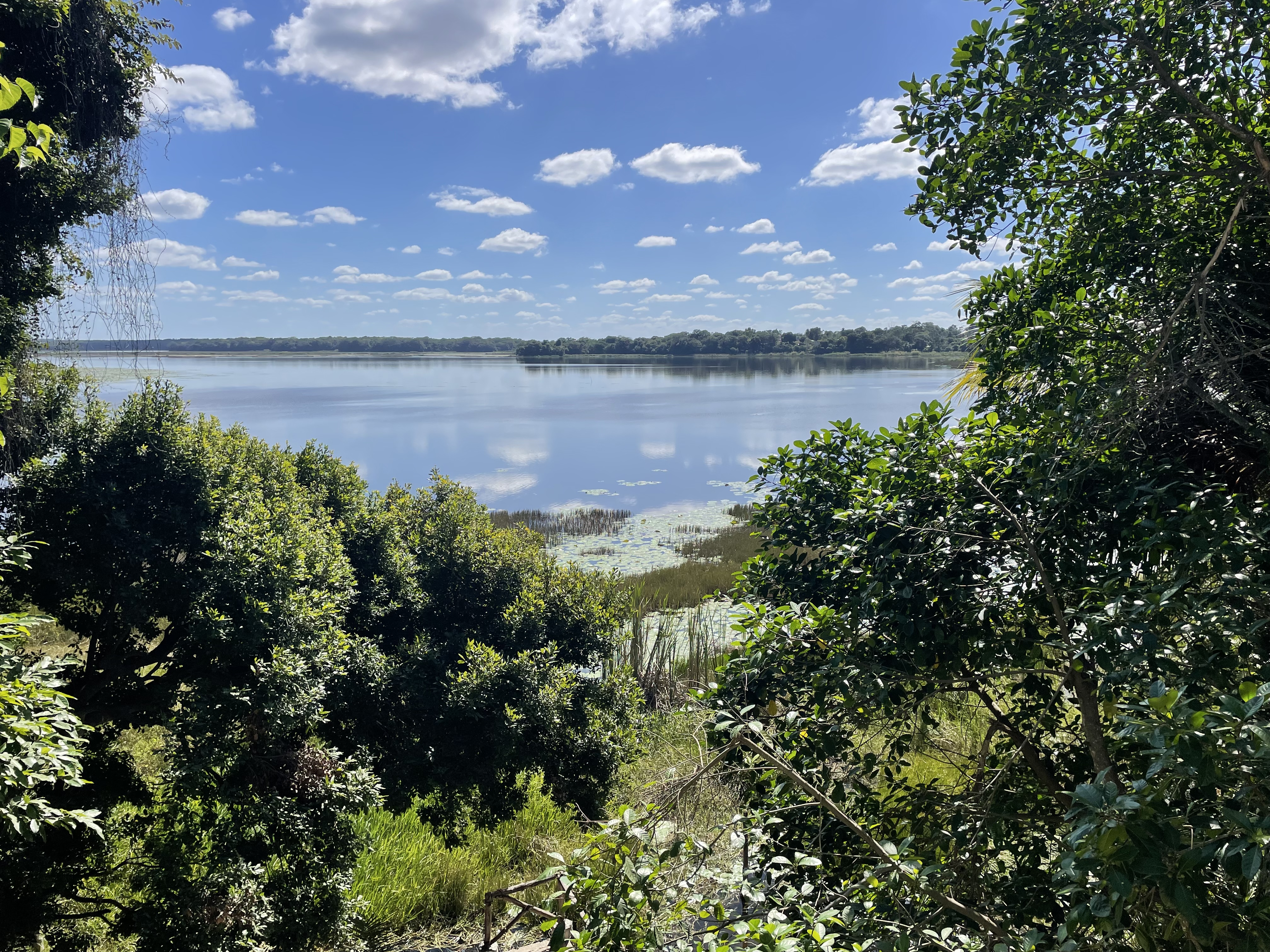 Restaurant "El Voladero" image 8