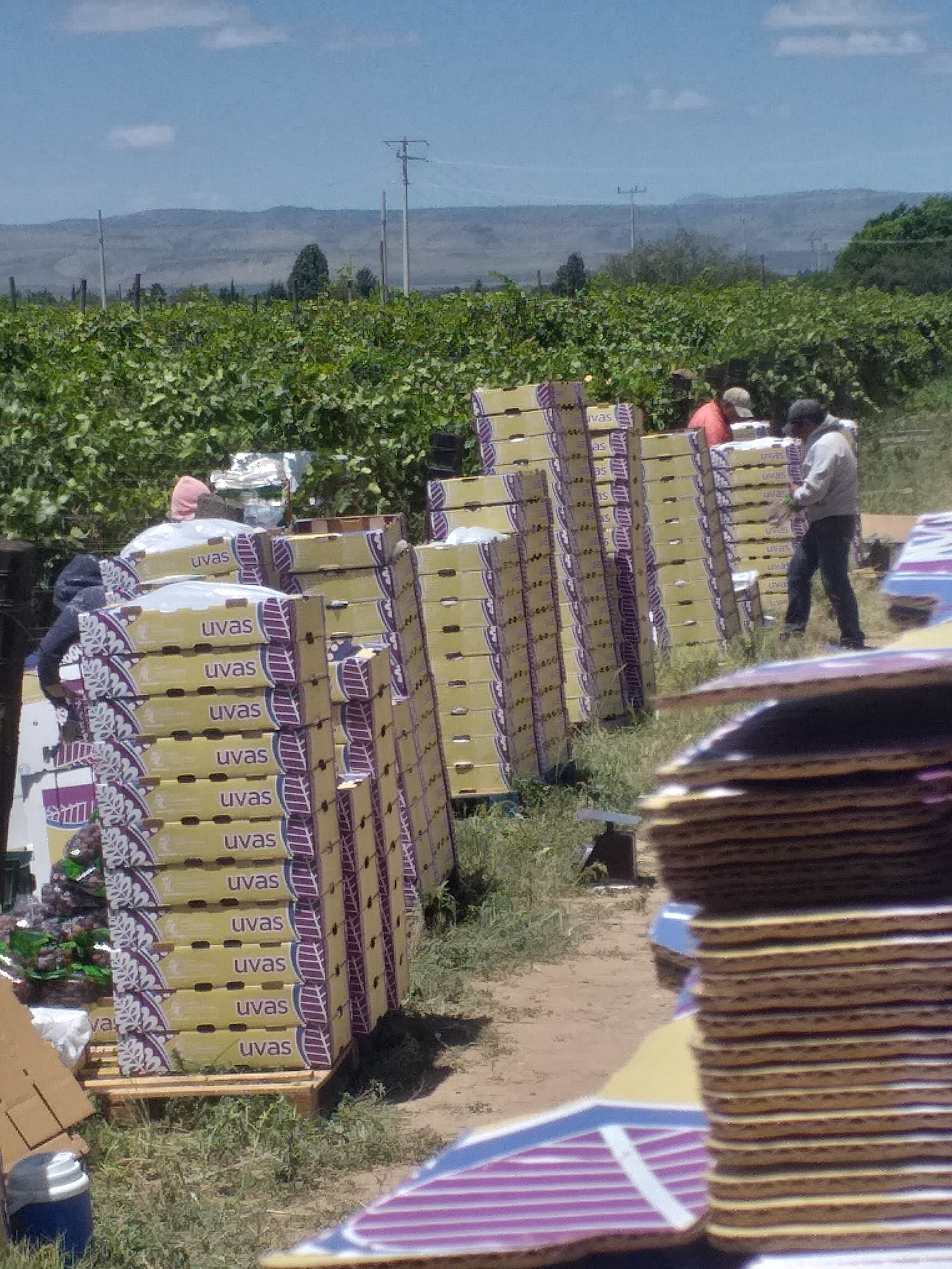 Gorditas La Fama image 6