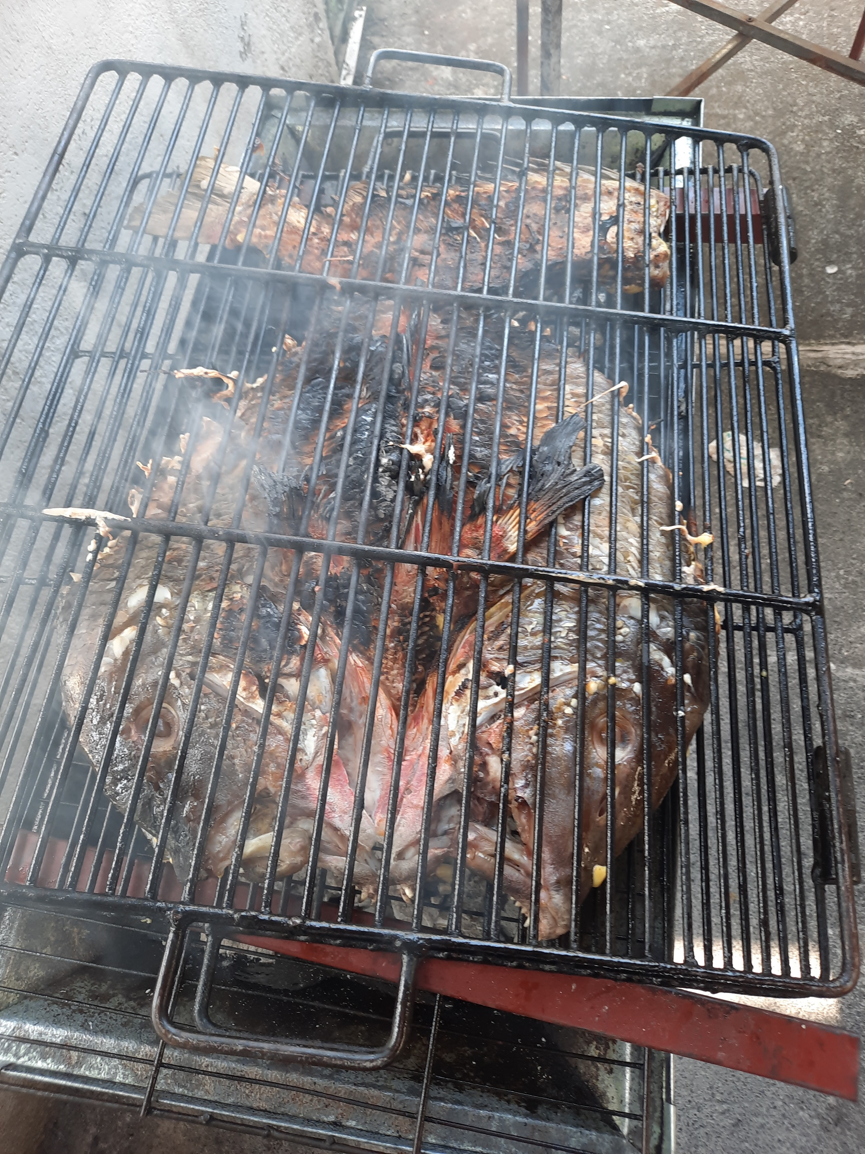 Cockteleria Juan Vidovich image 8