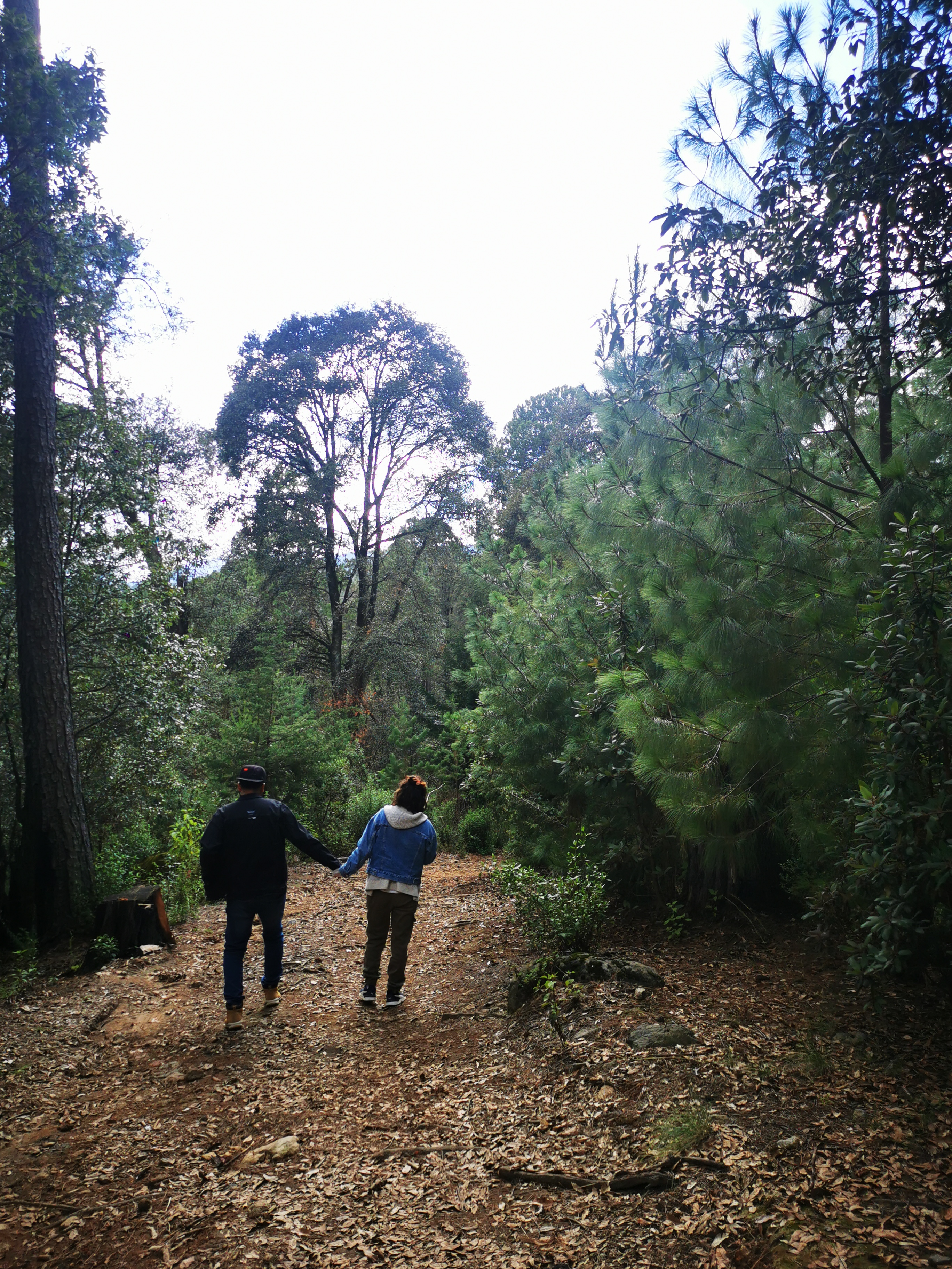 Truchas Cielito Lindo image 9