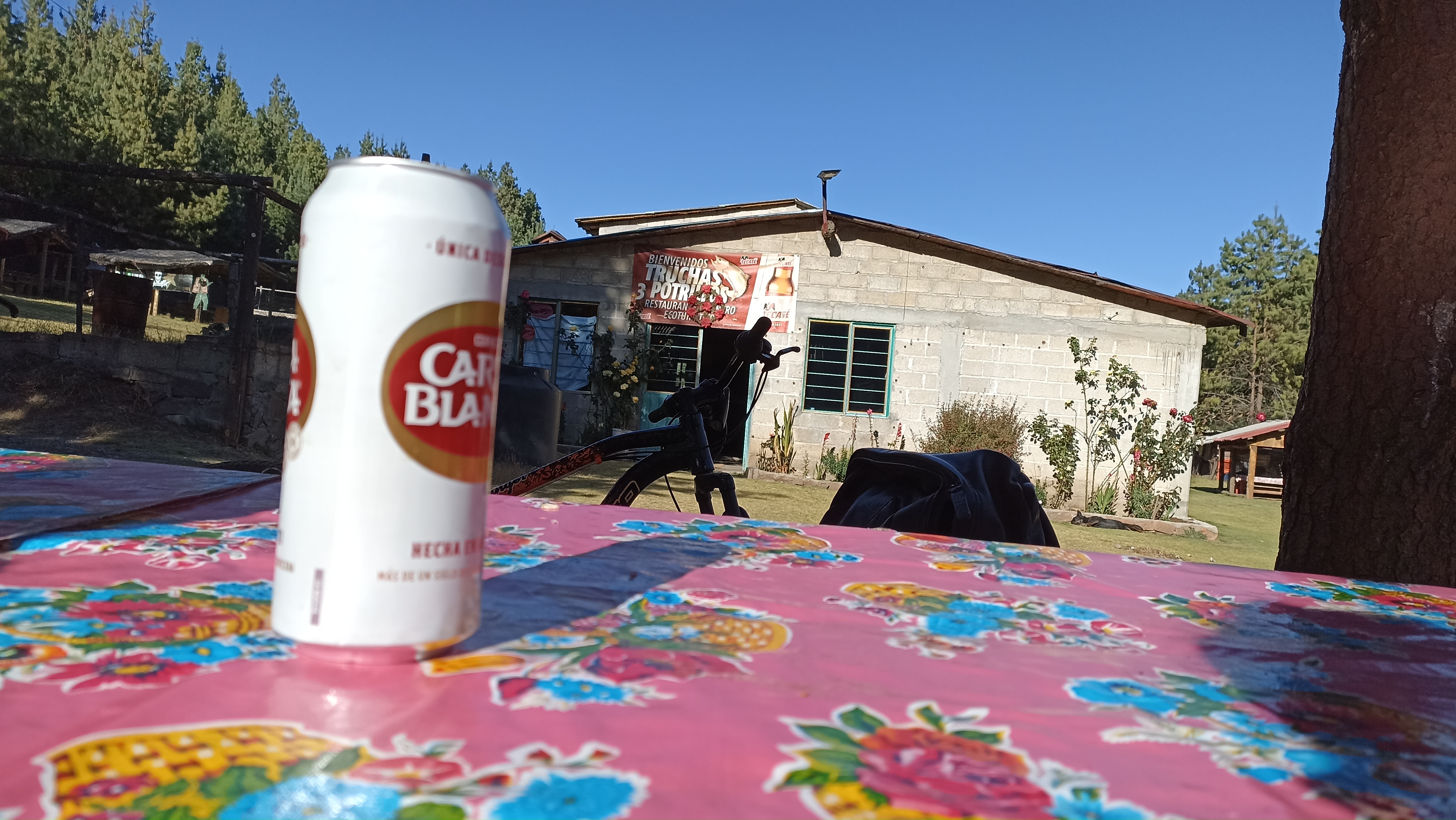 Truchas Los Tres Potrillos image 4