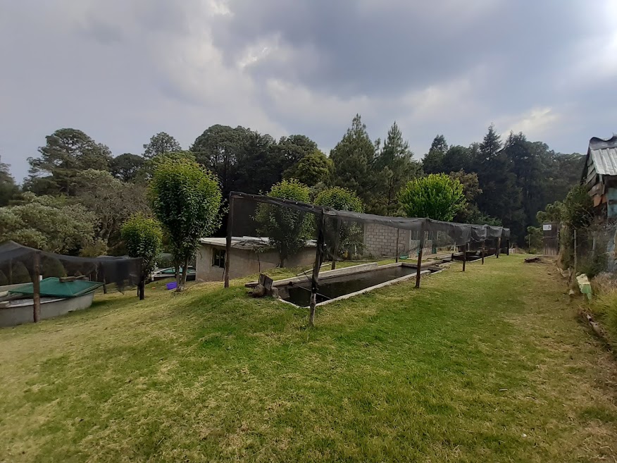 Truchas Los Tres Potrillos image 8