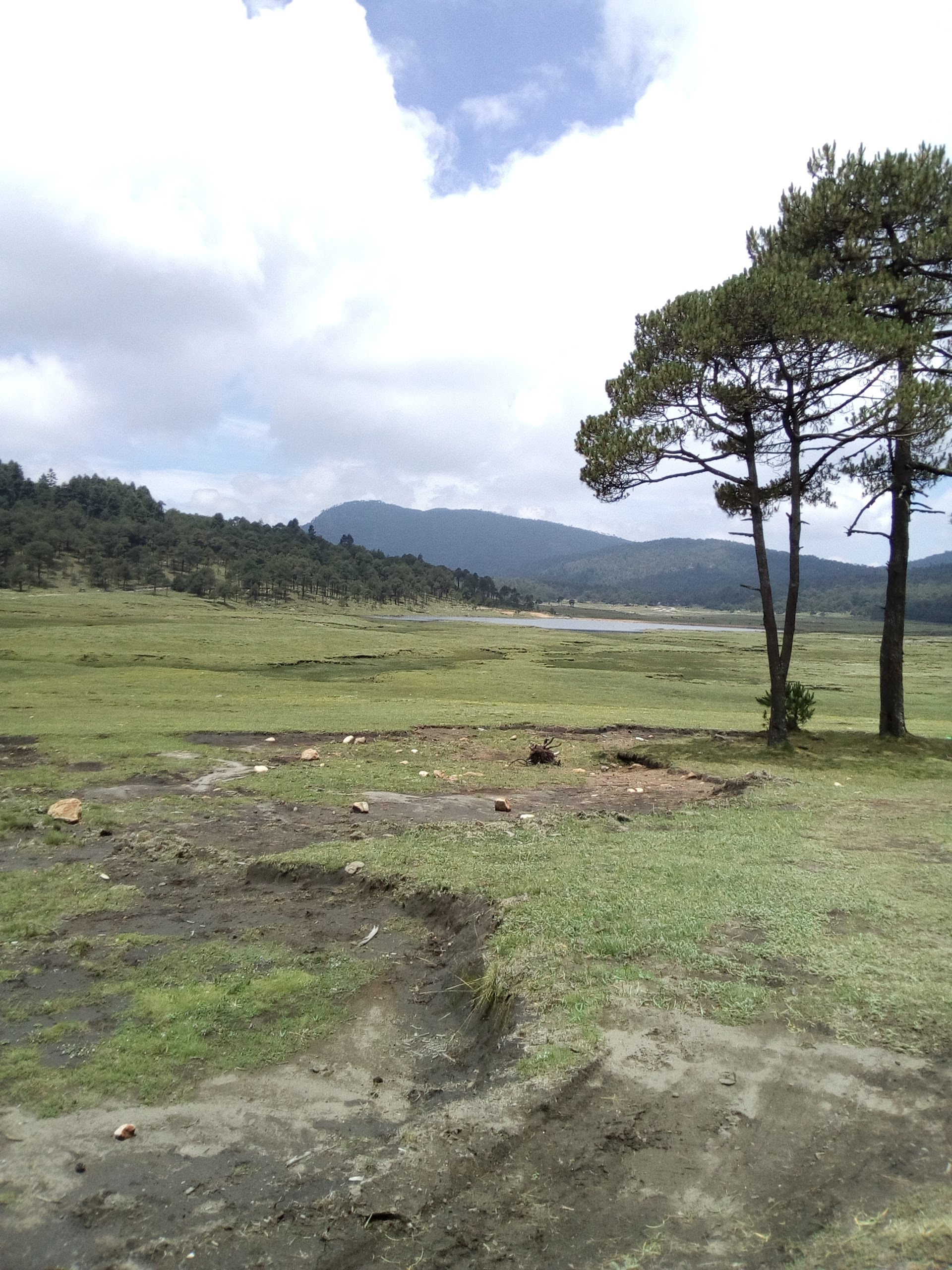 Cabaña La Mojonera image 7