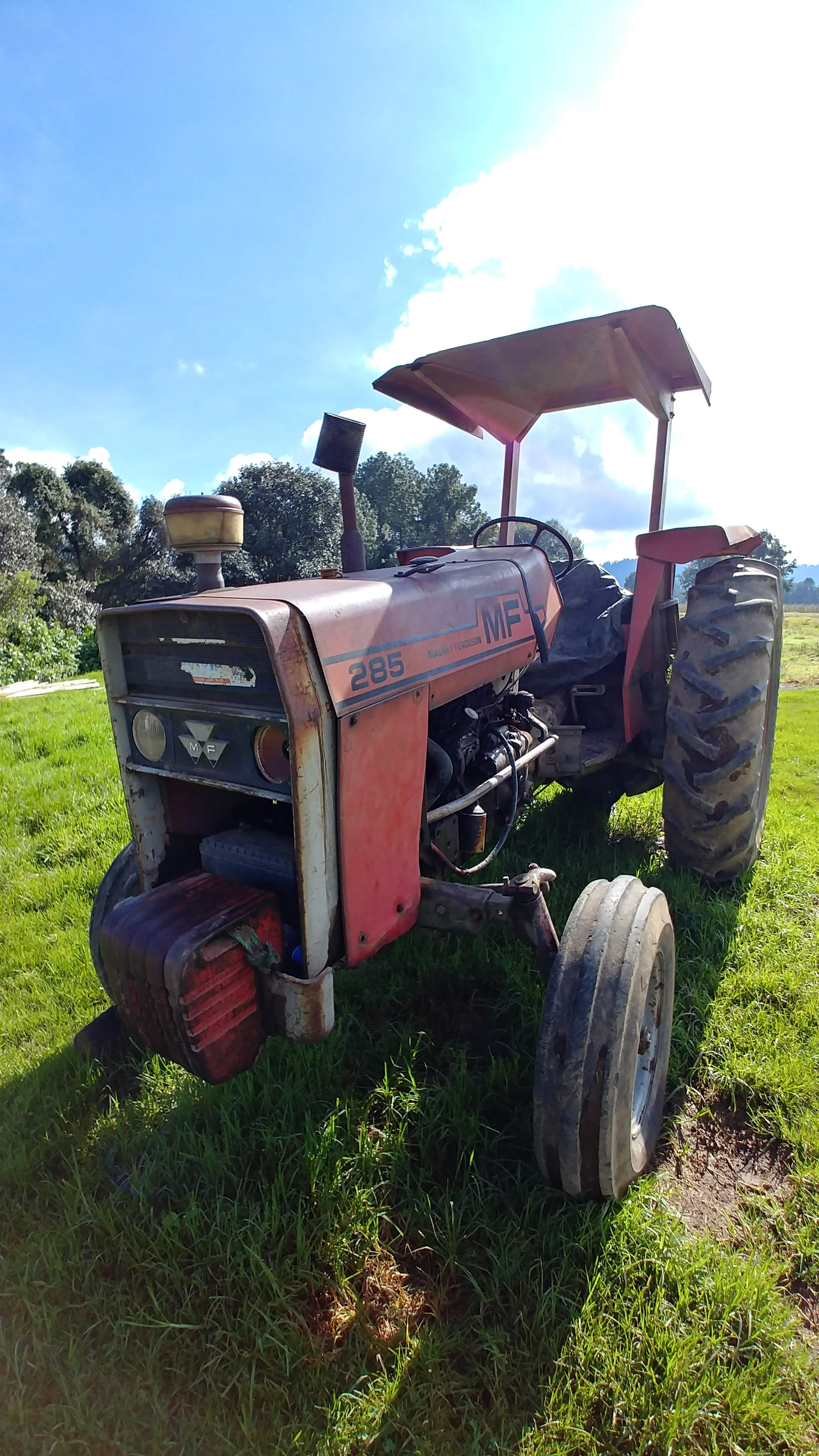 Muuu Mi Granjita image 8