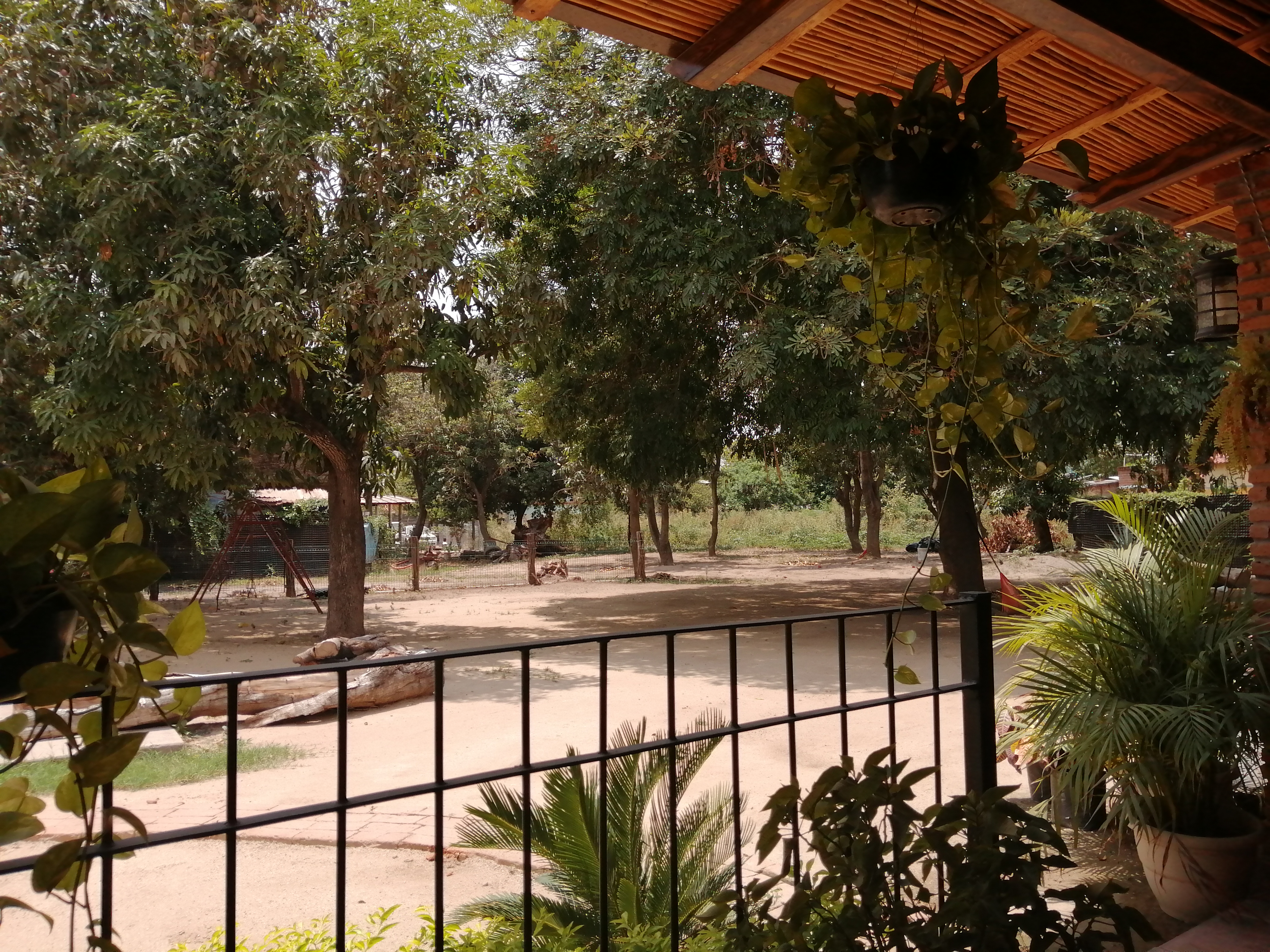 Borrego Al Maguey La Cabaña image 7