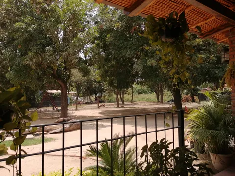 Borrego Al Maguey La Cabaña image 7