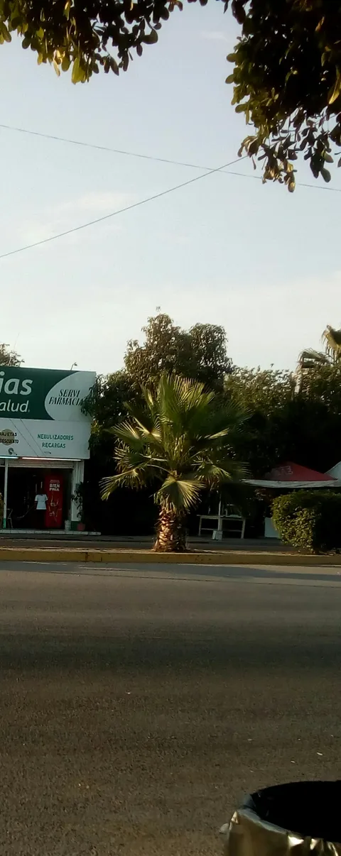 Carnitas Estilo Michoacan image 1