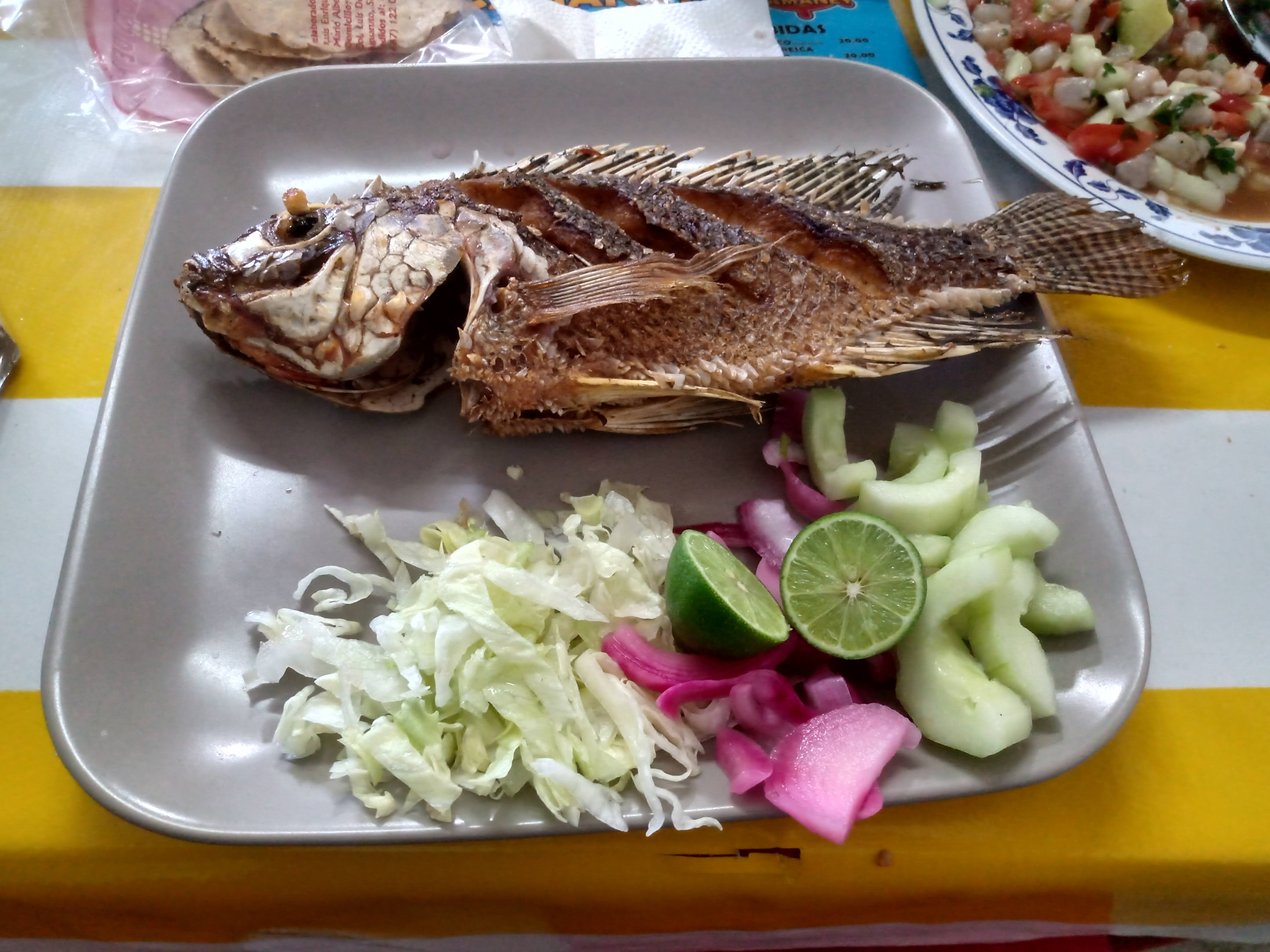 Taquería El Viejón image 10