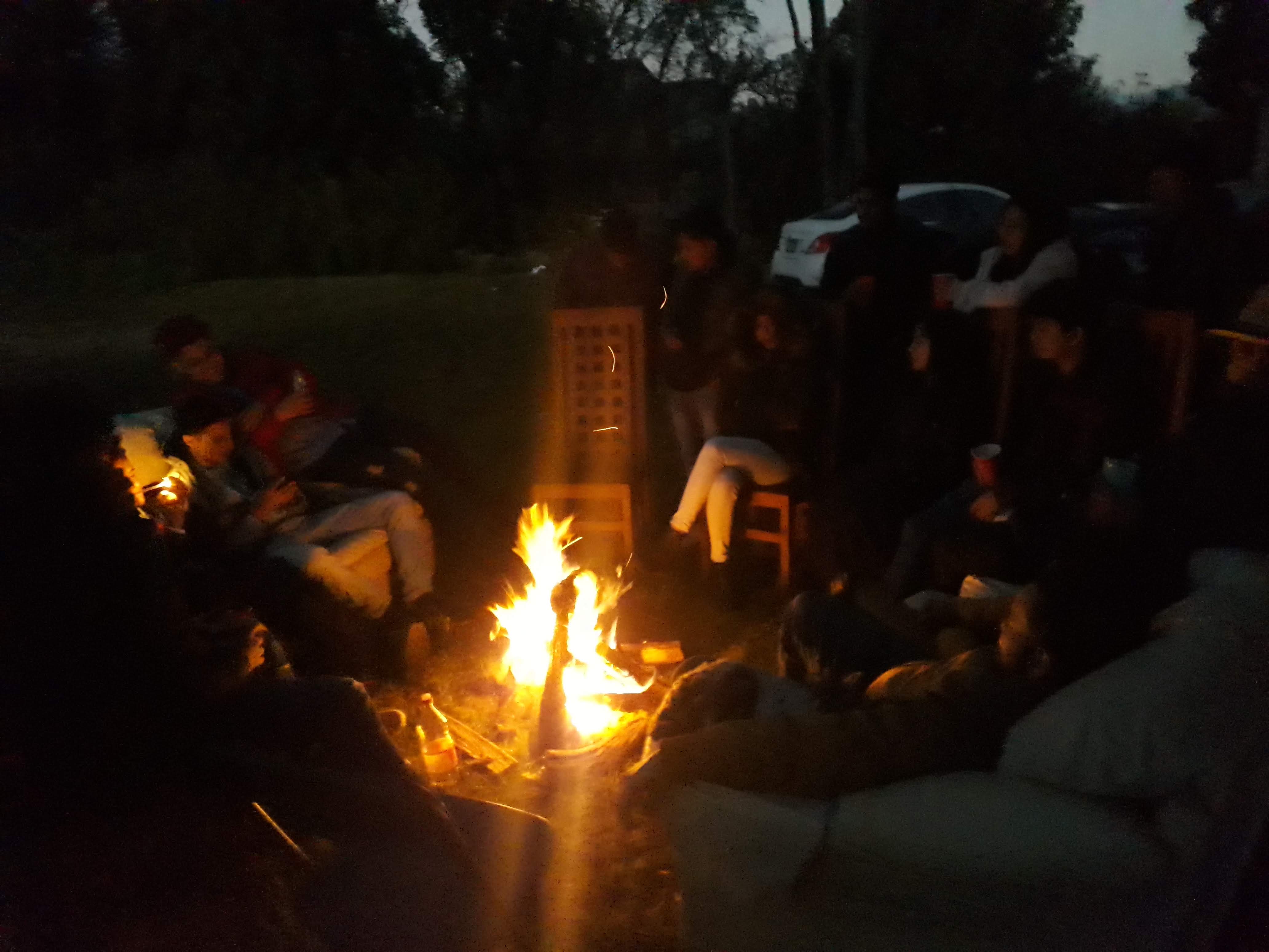 CARDOHOUSE - SÁCOO image 2