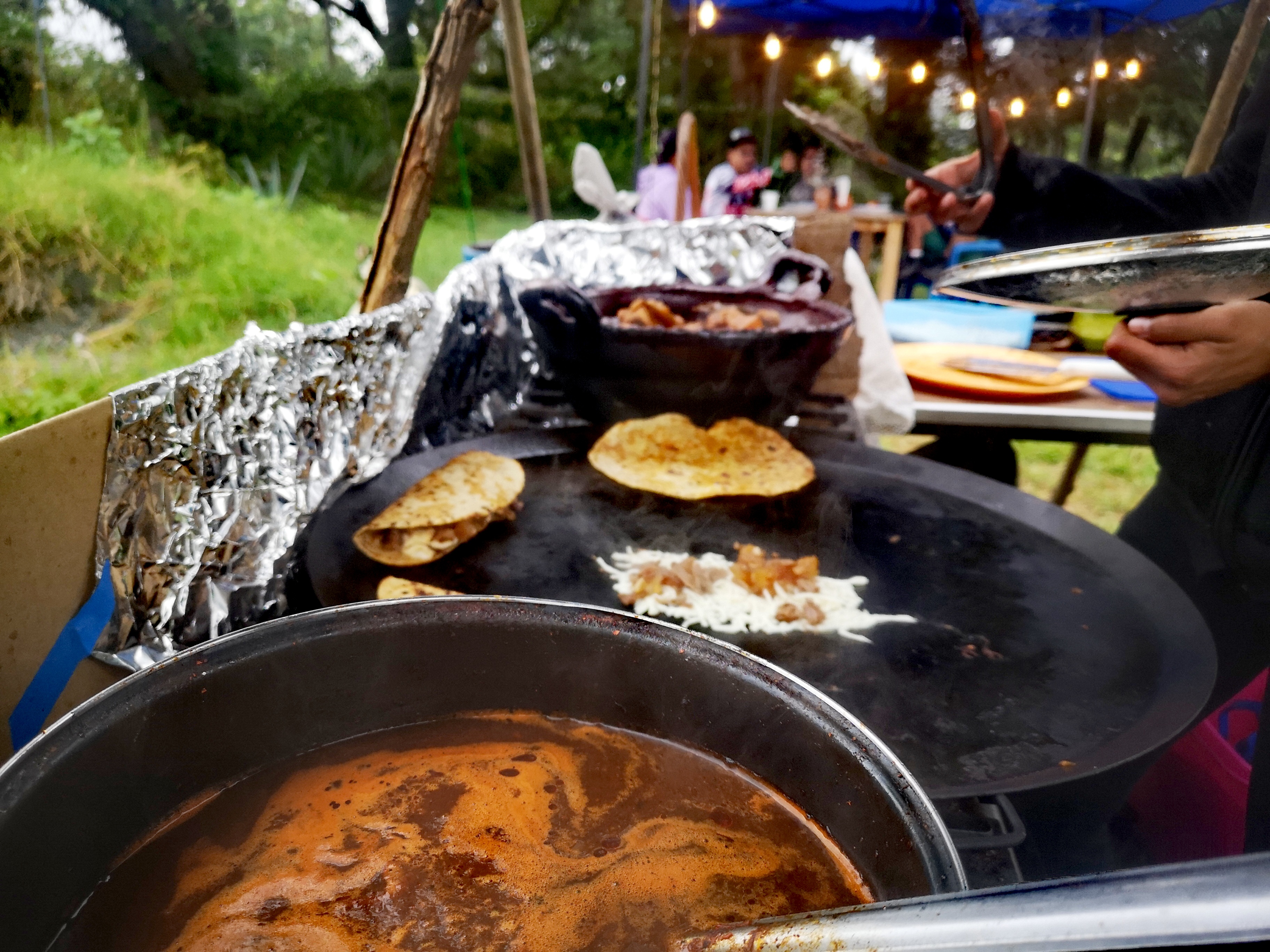 CARDOHOUSE - SÁCOO image 7