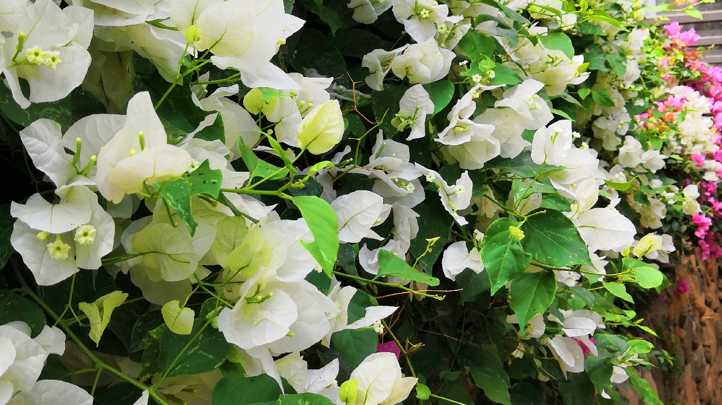 Estancia Camelinas image 3