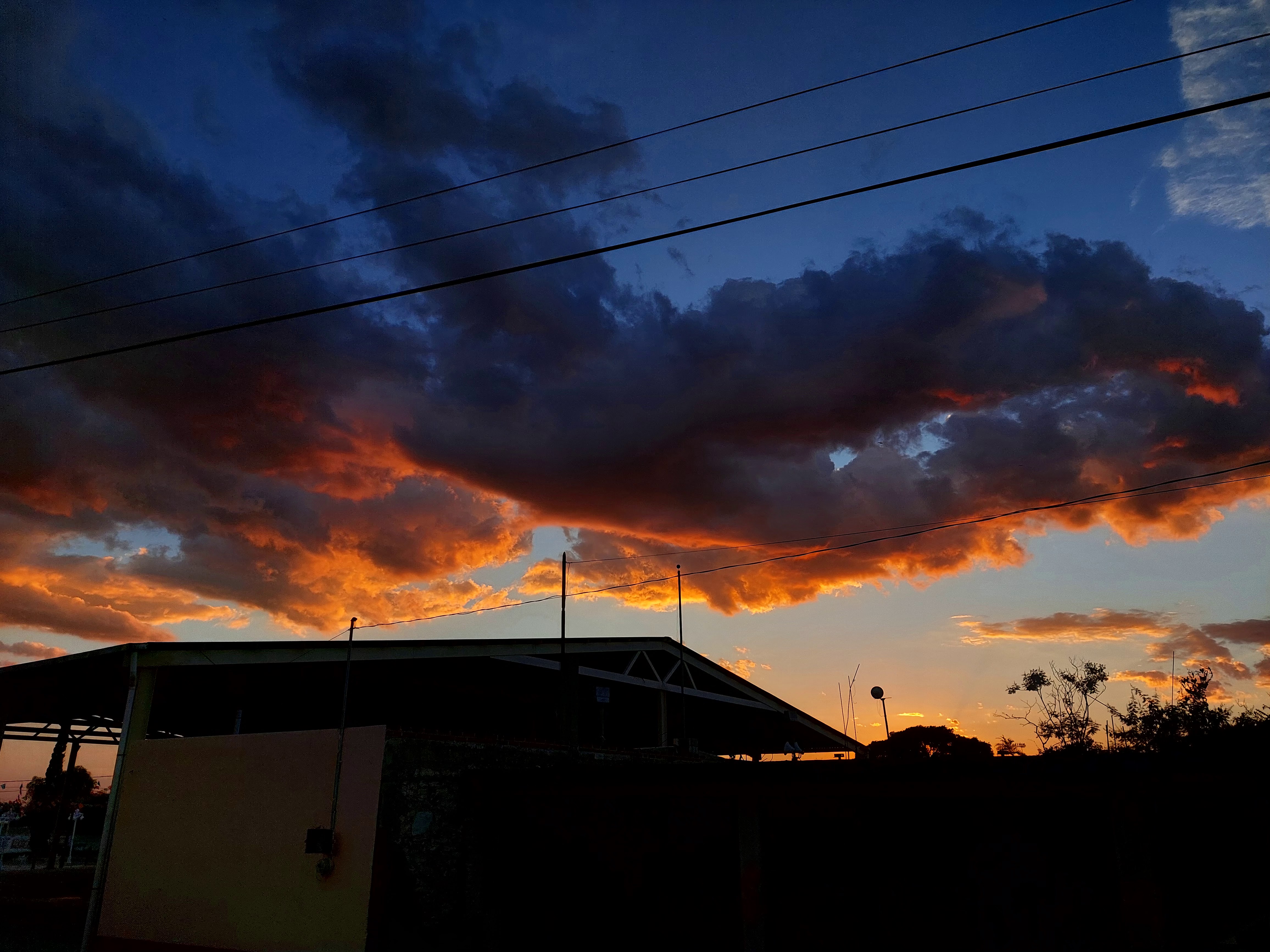 Authentic Pizza image 2