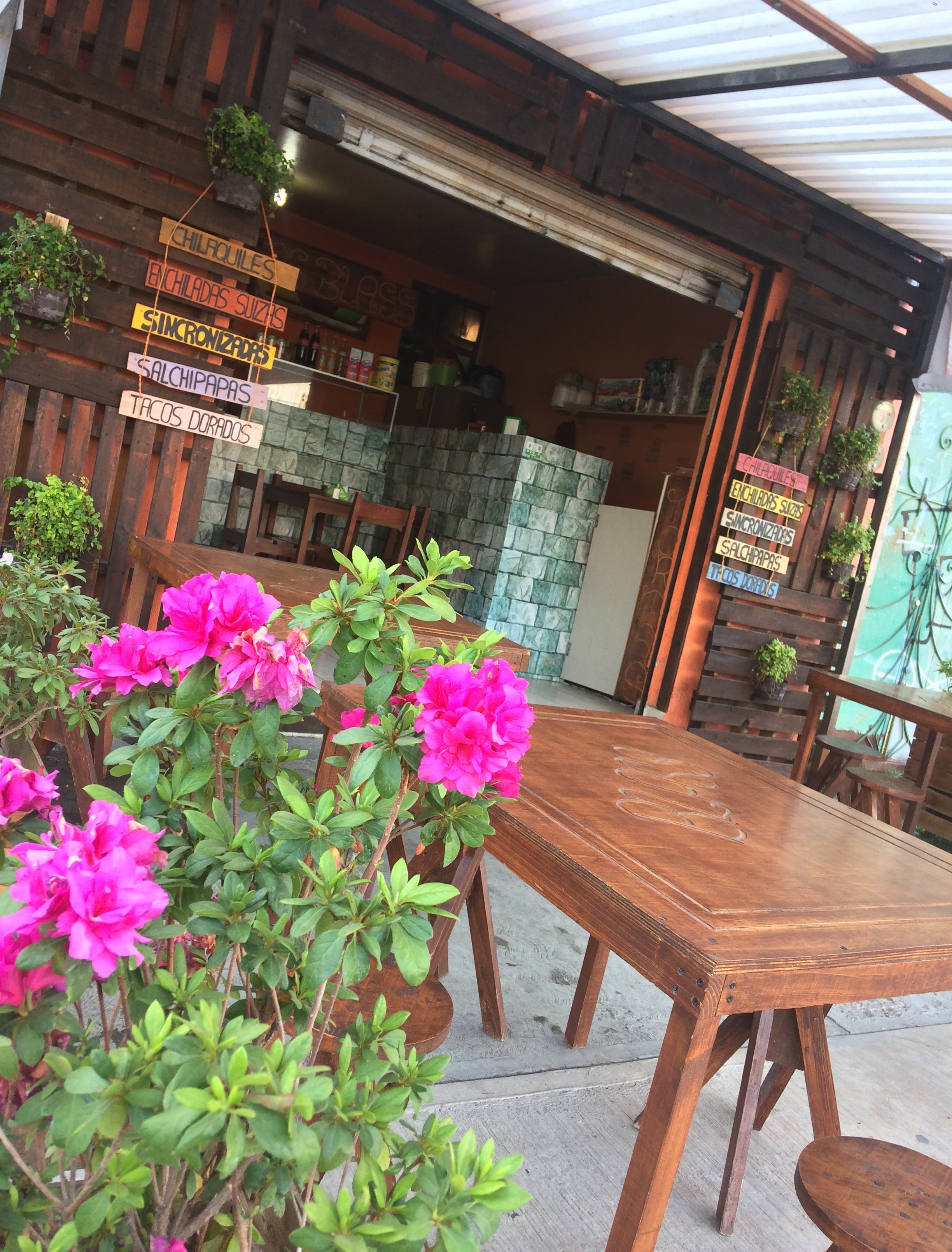 Restaurant Blass image 7