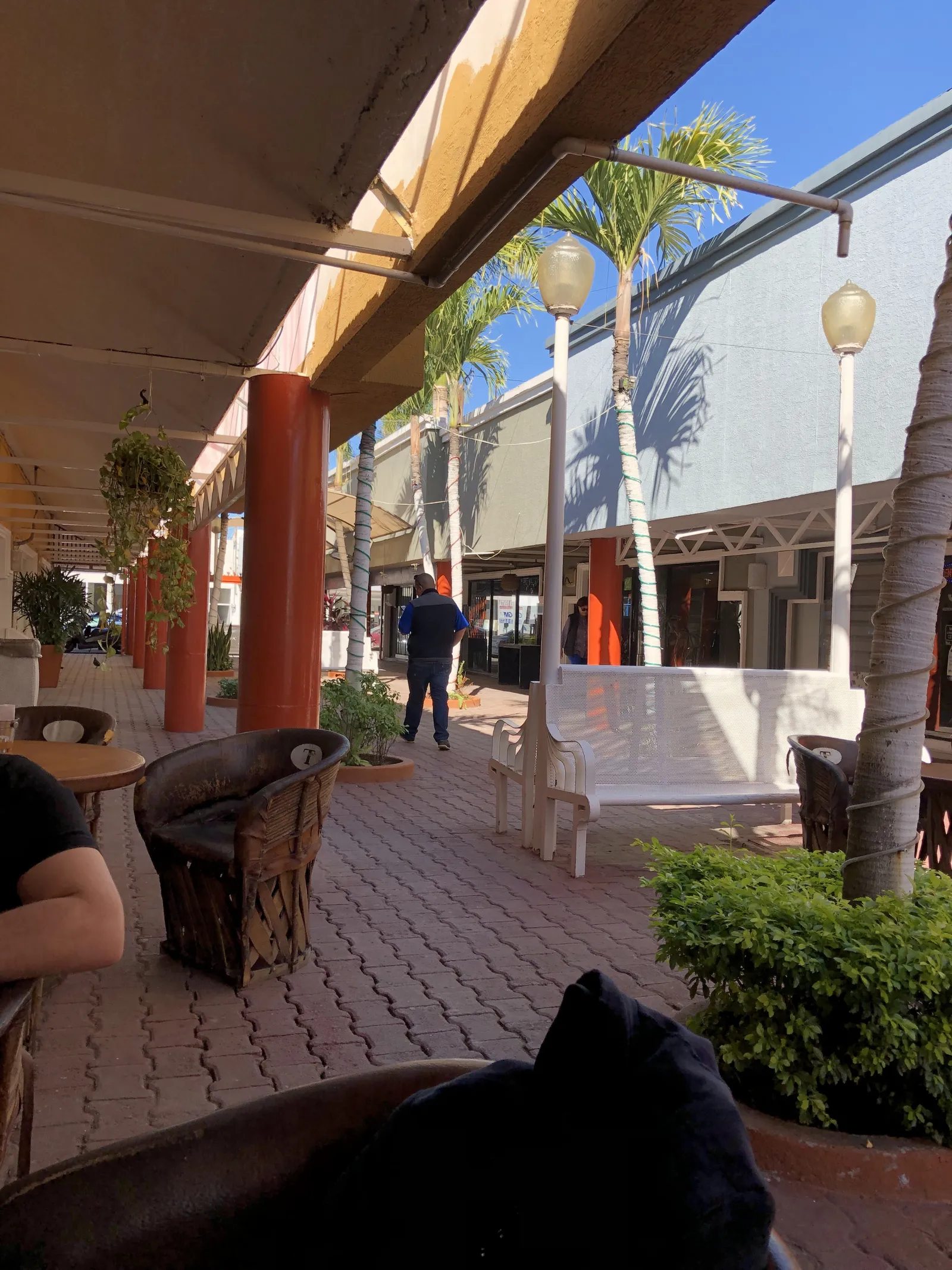 La Terraza image 7