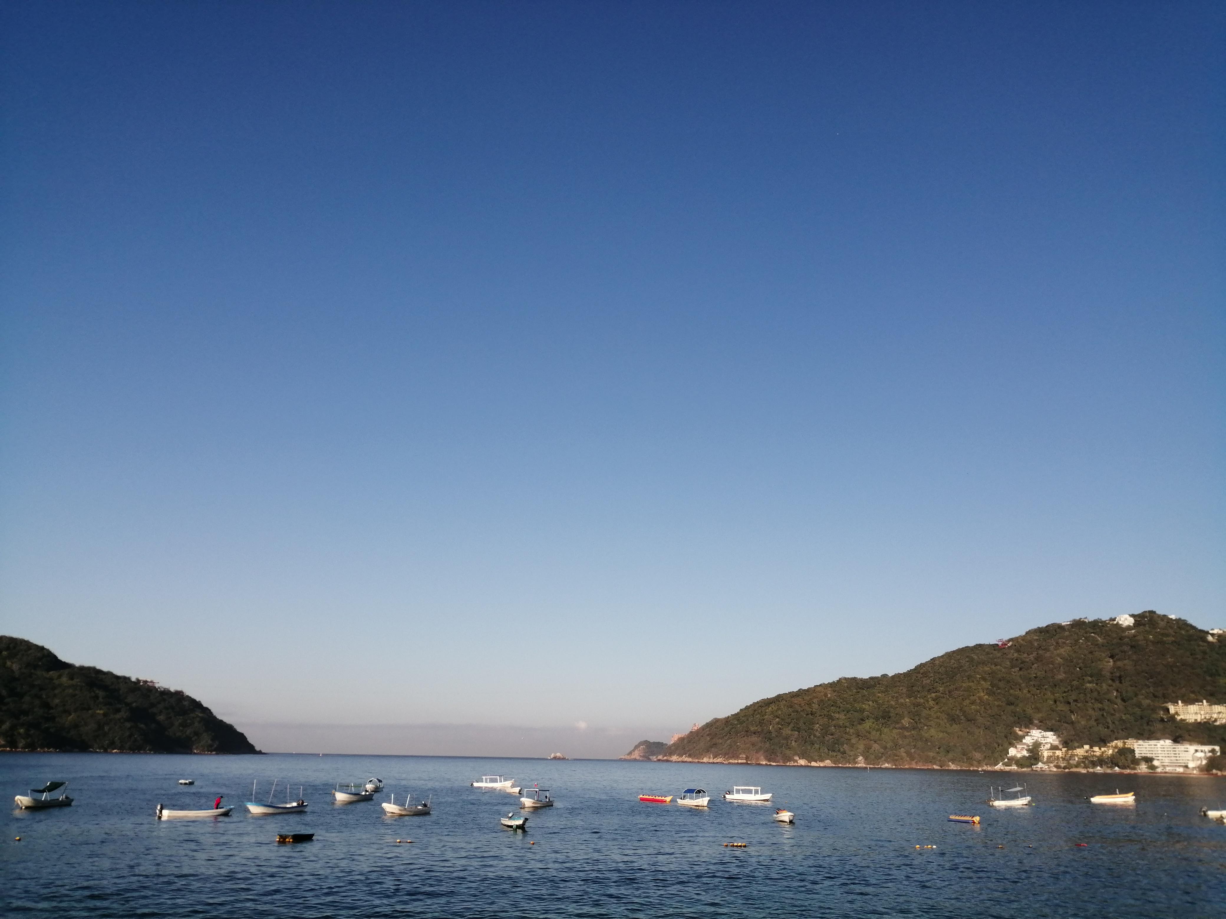 Restaurant "Sarita's" image 1