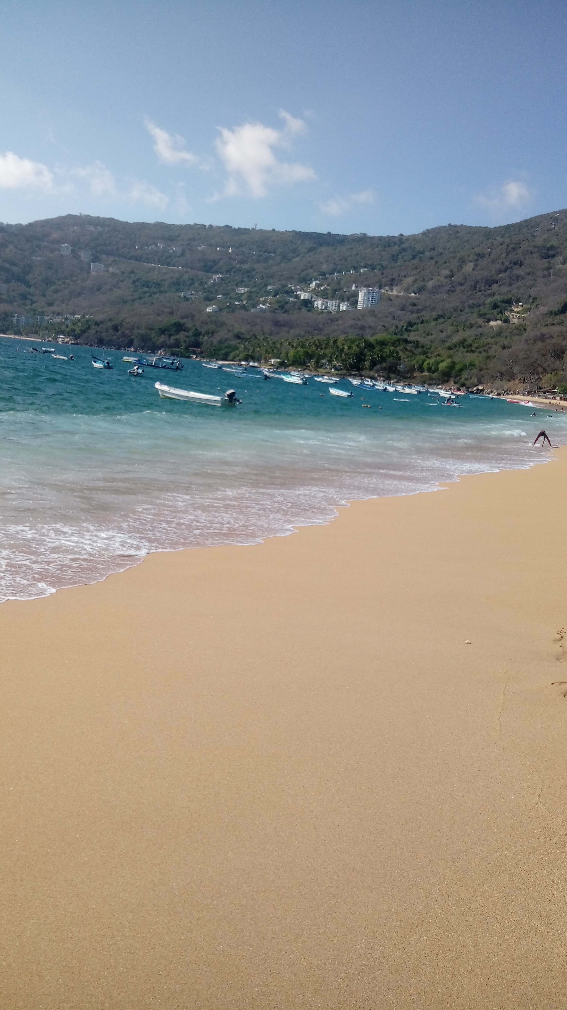 Restaurant "Sarita's" image 5