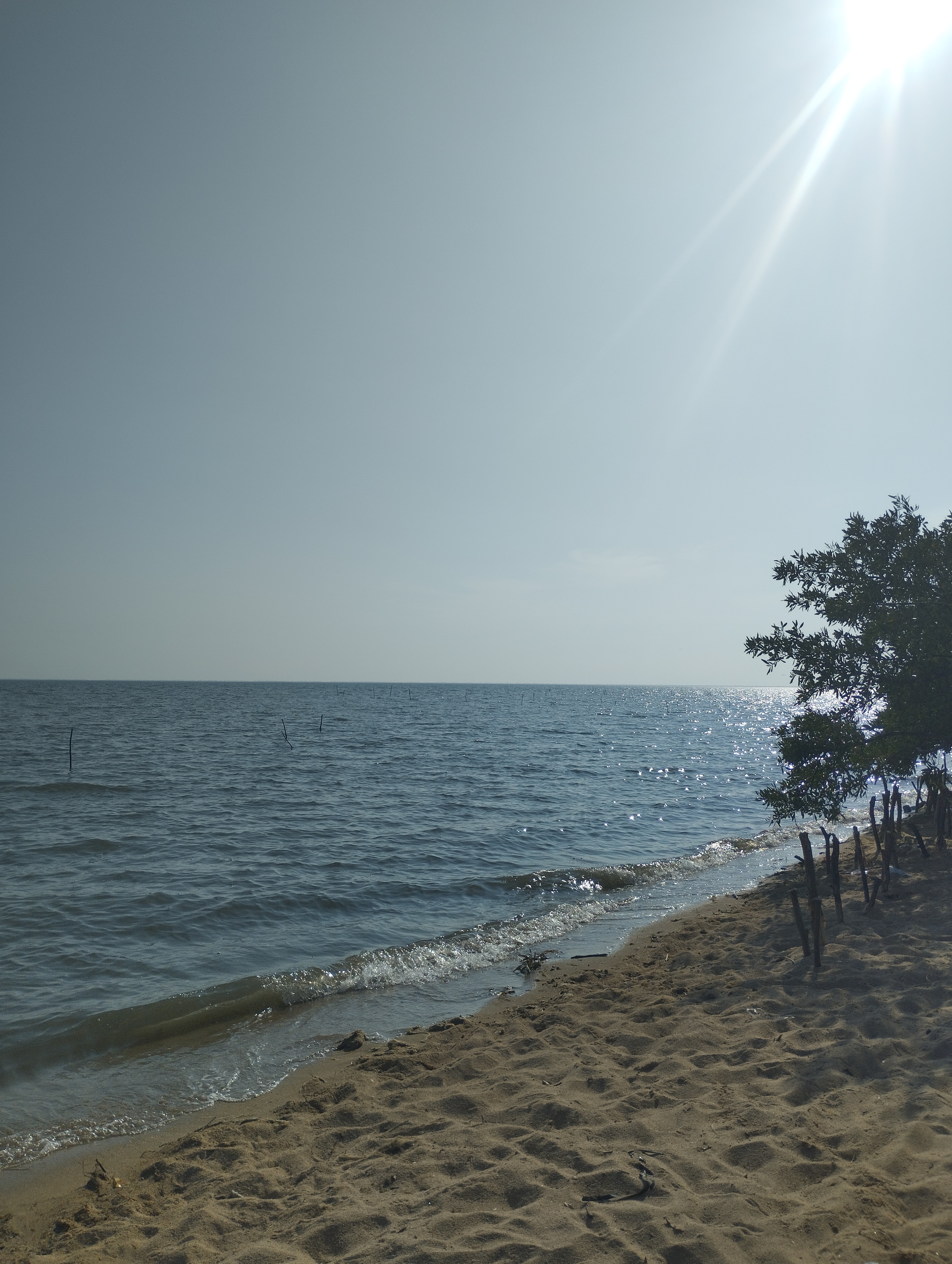 Palapa Marea Alta image 1