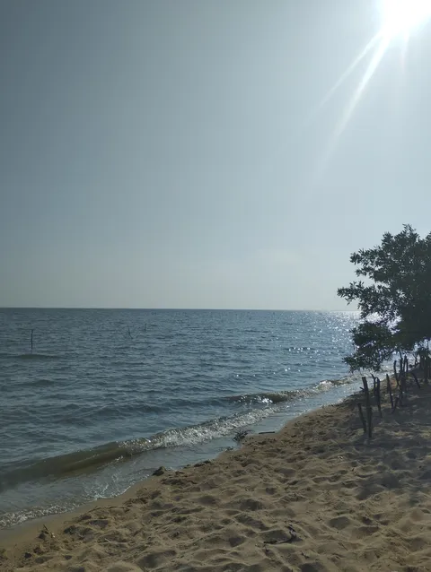 Palapa Marea Alta image 1