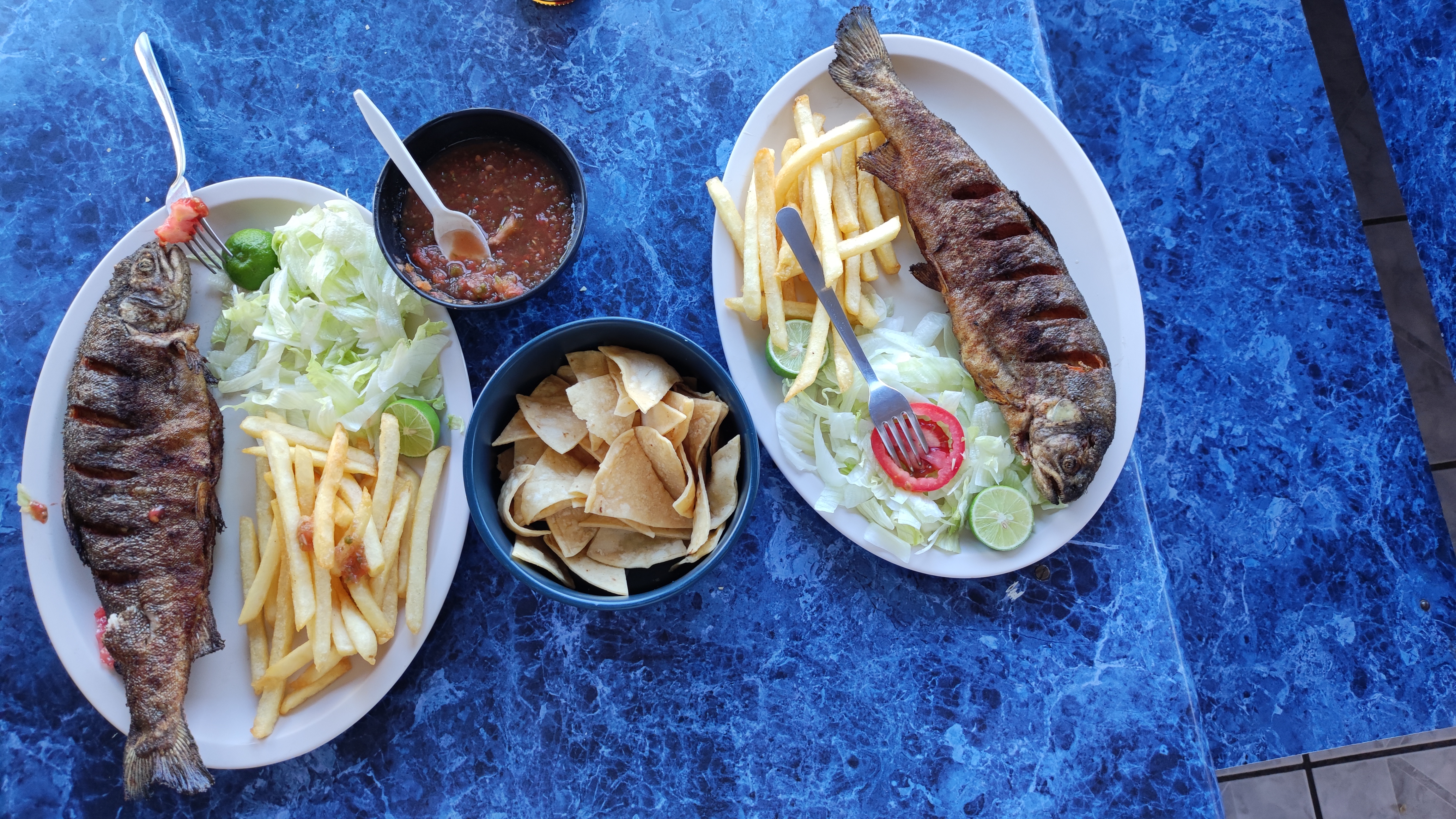 Granja Tierra Mojada image 4