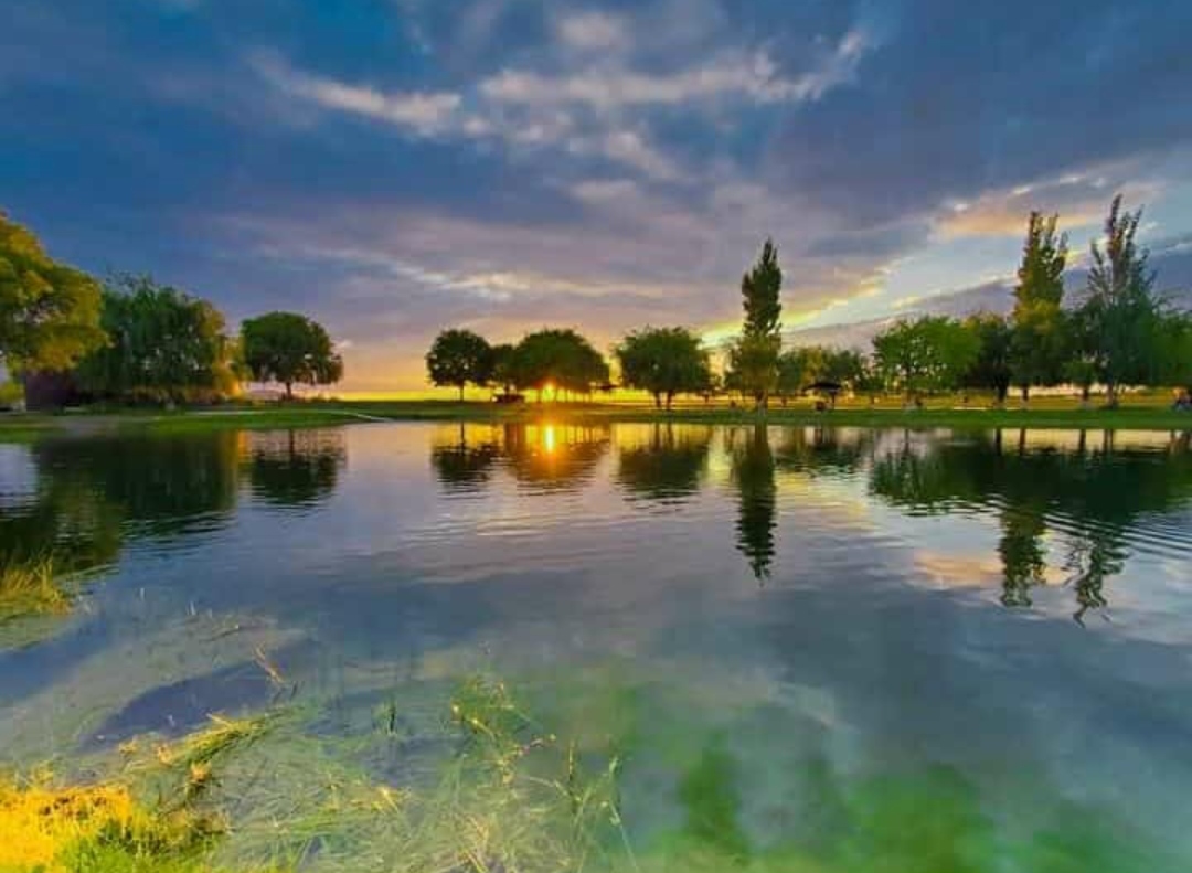 Granja Tierra Mojada image 8