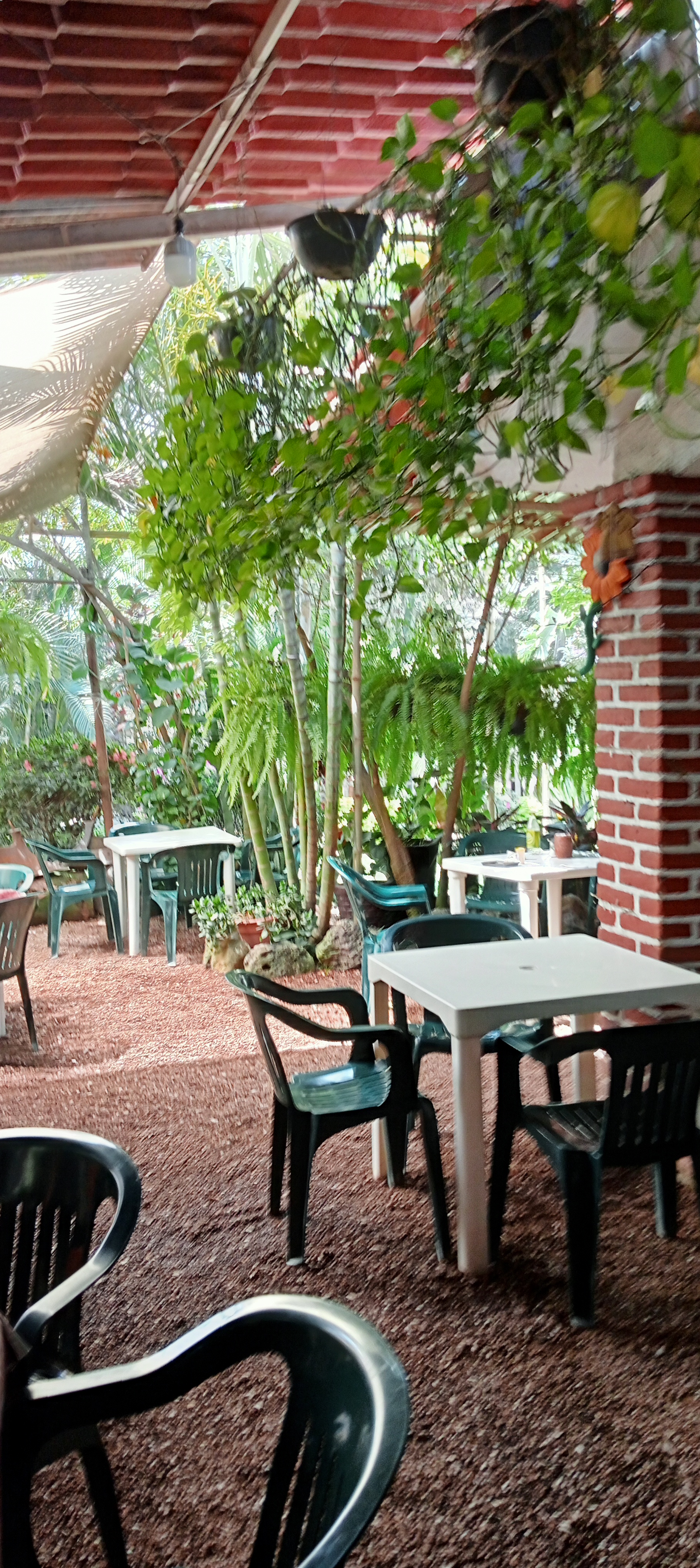 Mi Ranchito - Barbacoa, Carnitas, Antojitos y Pozole image 9