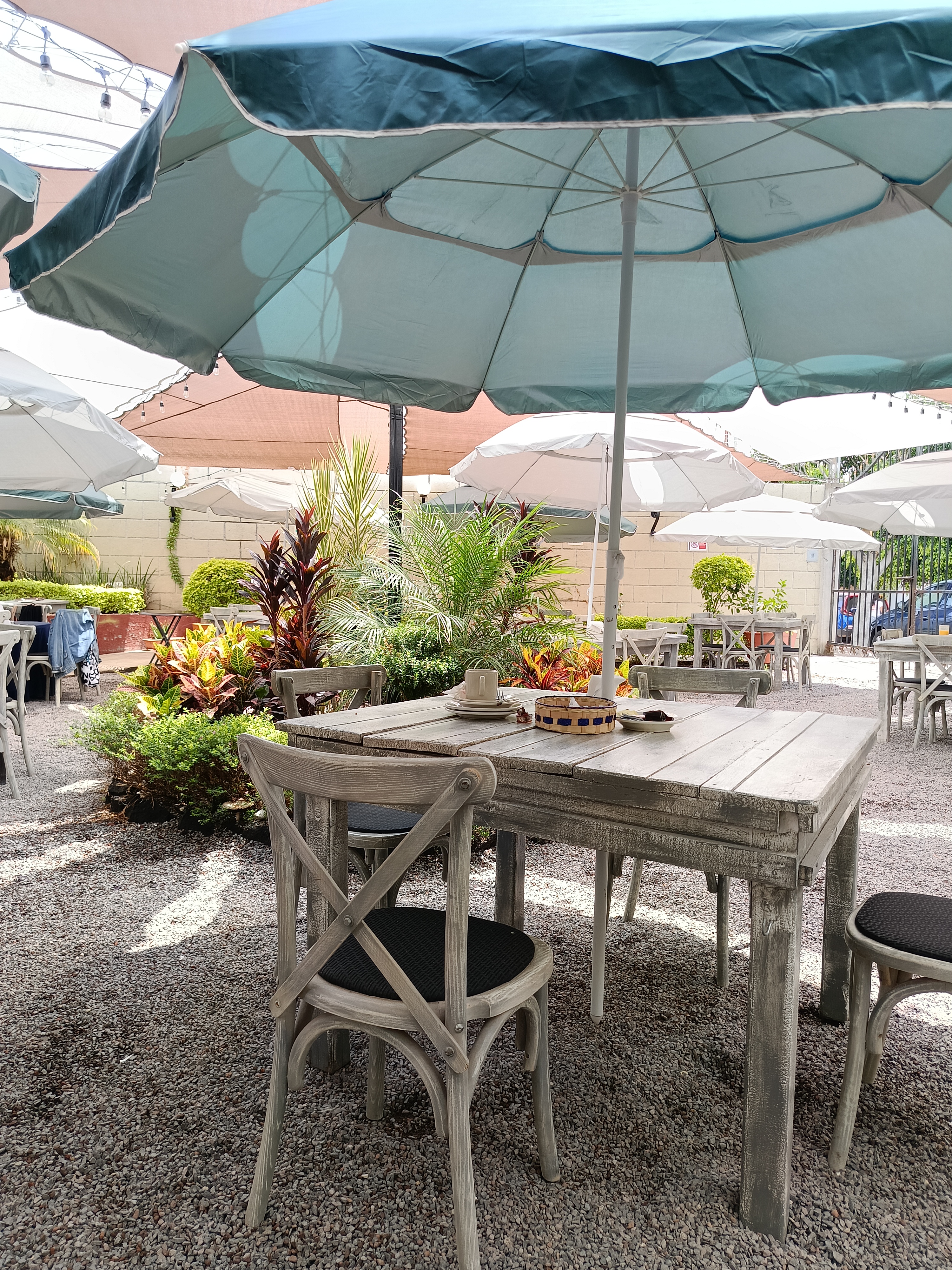 El Café del Baúl image 4