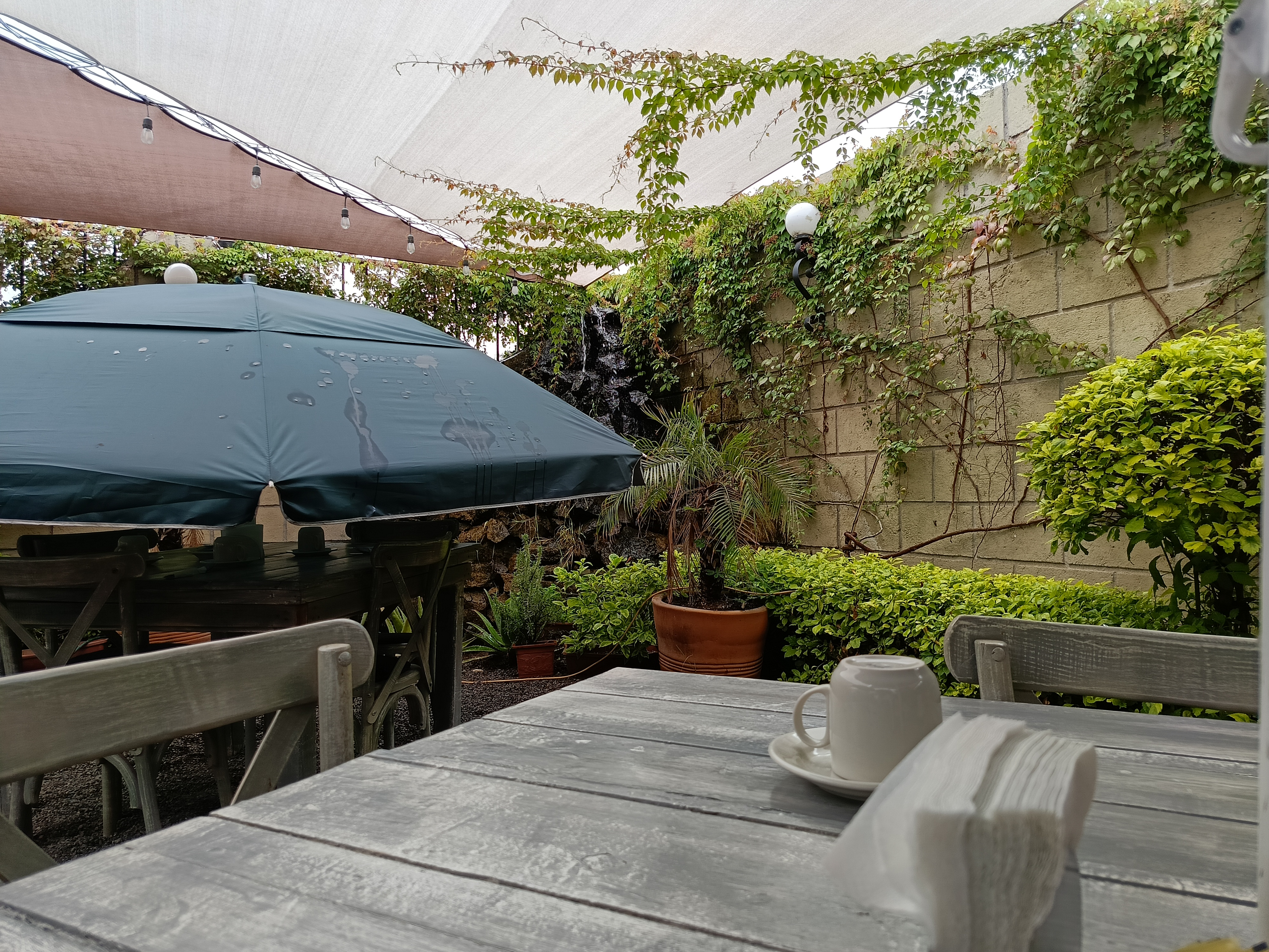 El Café del Baúl image 7