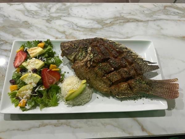 ZAUCES Mar y Tierra image 7