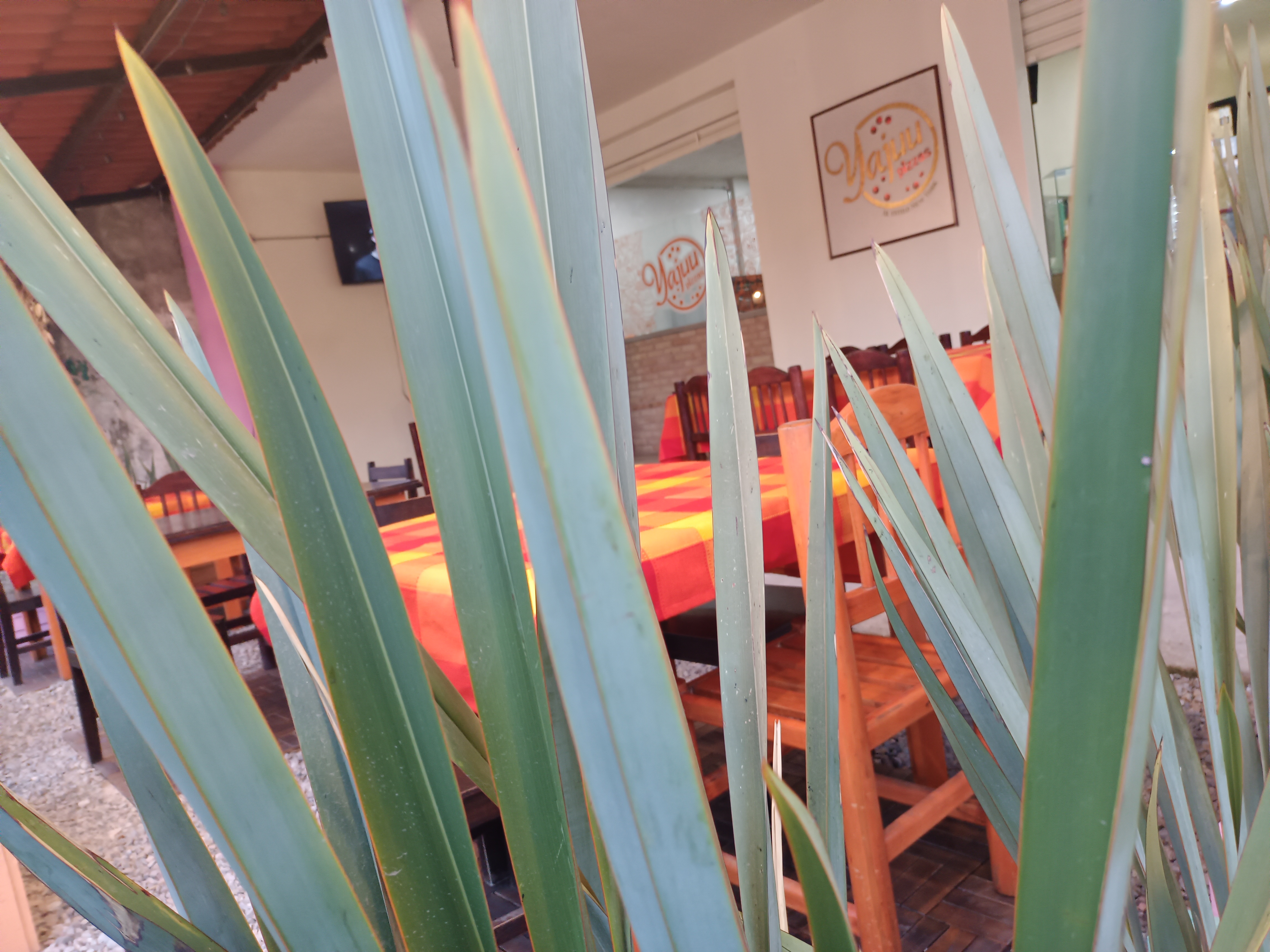 Yajuu Pizzas image 9