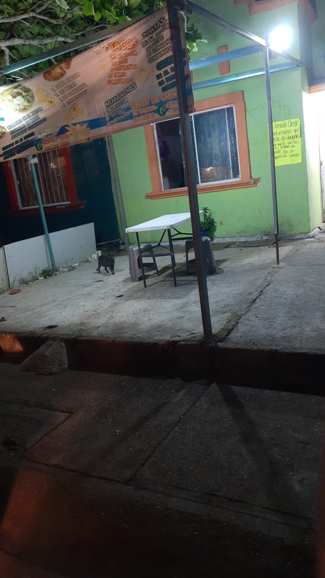 El Rey del Taco image 7