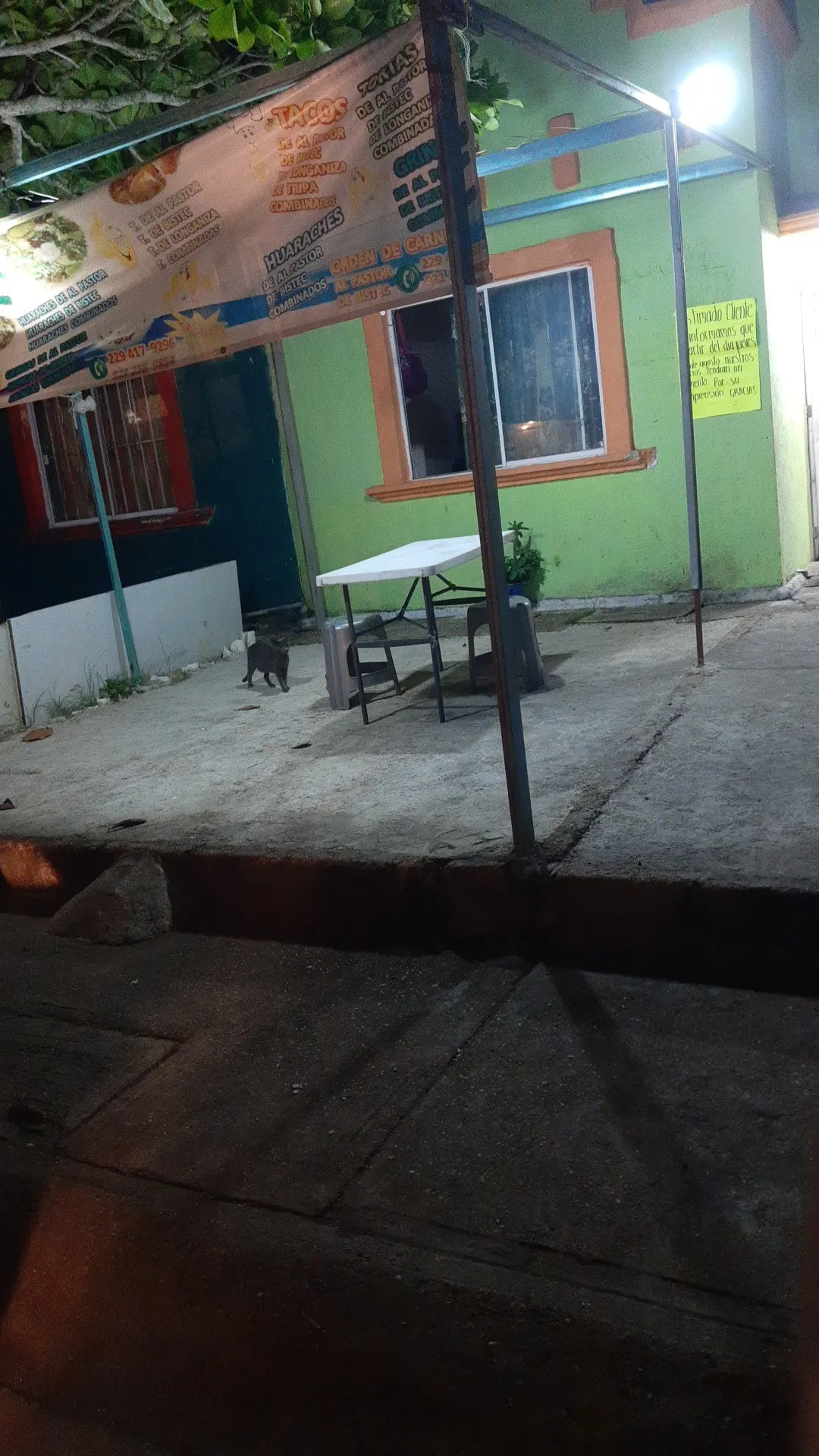 El Rey del Taco image 7